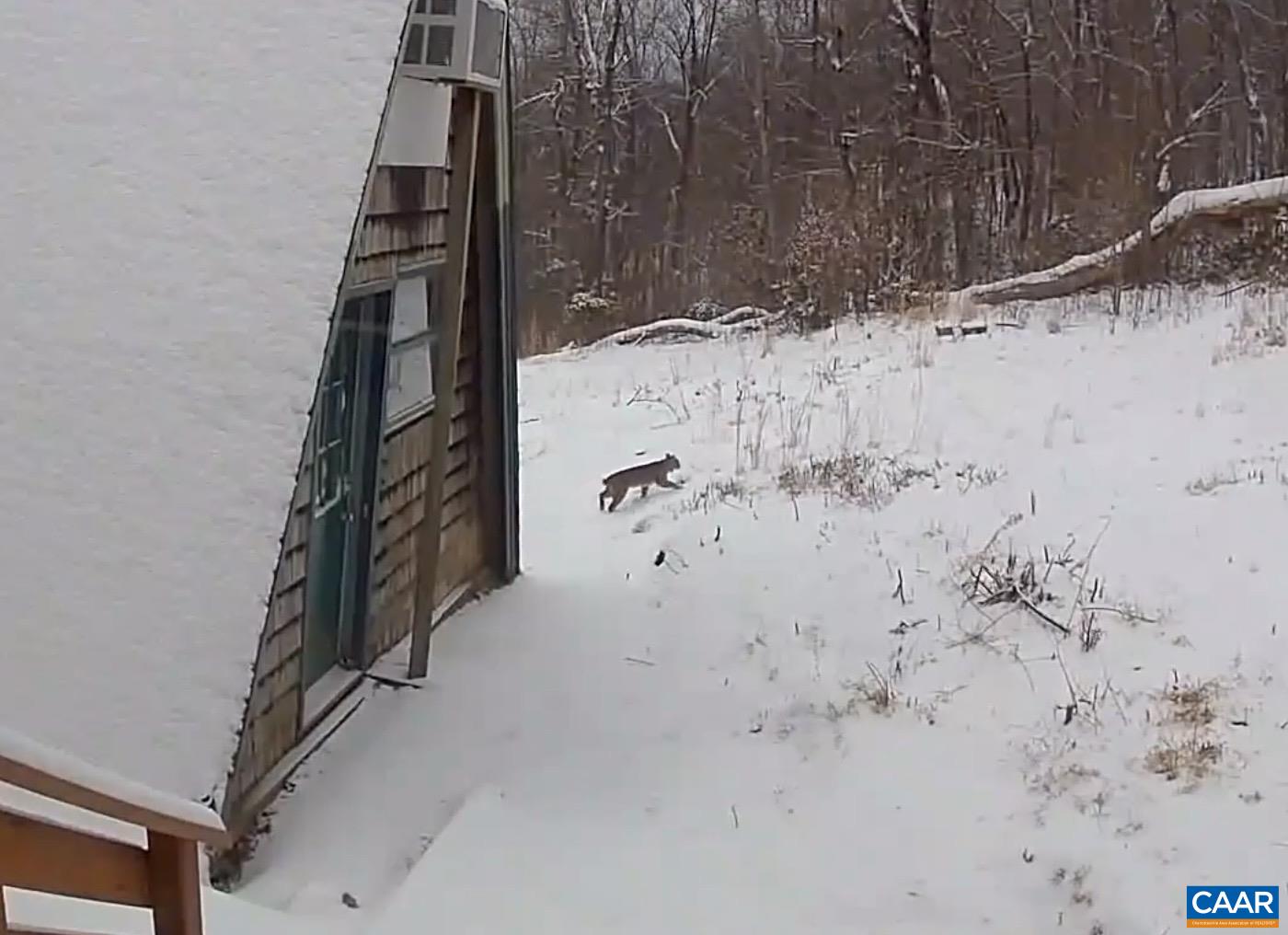 1494 SPRUCE CREEK LN, NELLYSFORD, Virginia 22958, 1 Bedroom Bedrooms, ,1 BathroomBathrooms,Residential,1494 SPRUCE CREEK LN,674252 MLS # 674252