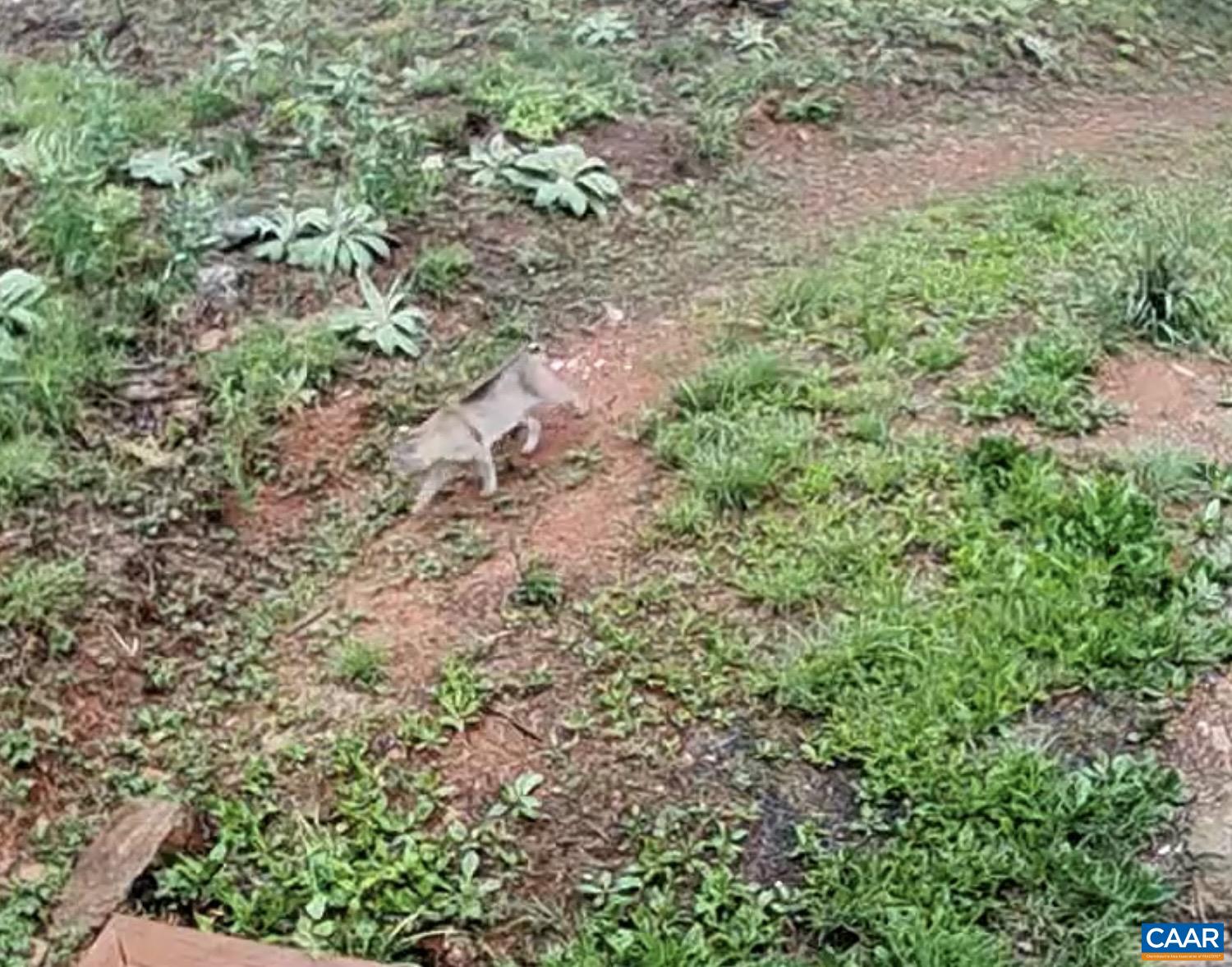 1494 SPRUCE CREEK LN, NELLYSFORD, Virginia 22958, 1 Bedroom Bedrooms, ,1 BathroomBathrooms,Residential,1494 SPRUCE CREEK LN,674252 MLS # 674252