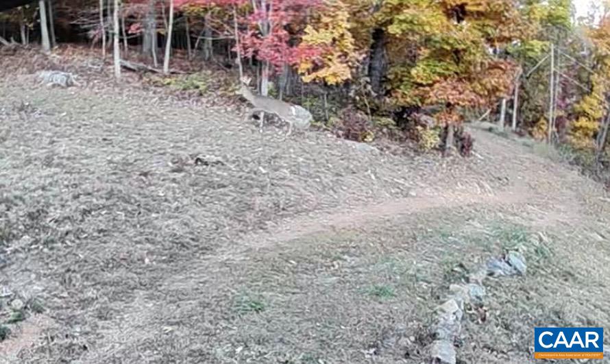 1494 SPRUCE CREEK LN, NELLYSFORD, Virginia 22958, 1 Bedroom Bedrooms, ,1 BathroomBathrooms,Residential,1494 SPRUCE CREEK LN,674252 MLS # 674252