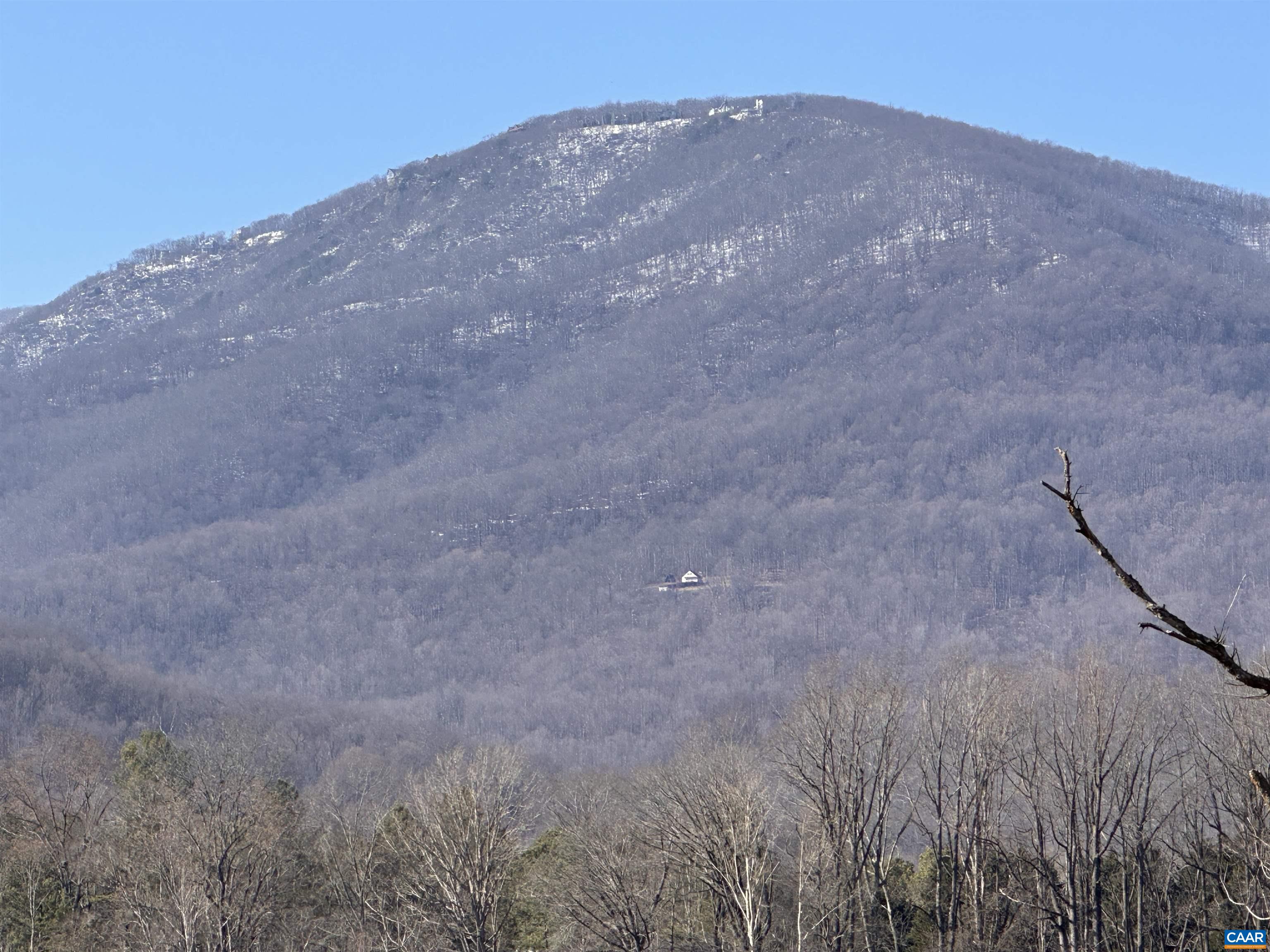 looking up from Spruce Creek Park walking trail