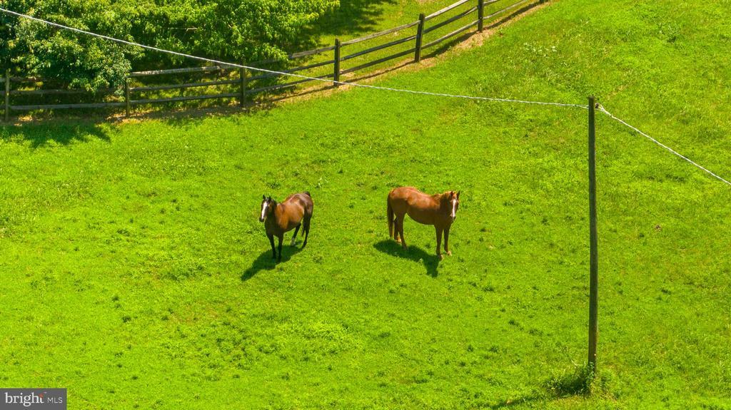 9467 OLD WATERLOO RD, WARRENTON, Virginia 20186, 3 Bedrooms Bedrooms, ,2 BathroomsBathrooms,Residential,9467 OLD WATERLOO RD,VAFQ2017586 MLS # VAFQ2017586 9467 OLD WATERLOO RD, WARRENTON, Virginia 20186, 3 Bedrooms Bedrooms, ,2 BathroomsBathrooms,Residential,9467 OLD WATERLOO RD,VAFQ2017586 MLS # VAFQ2017586