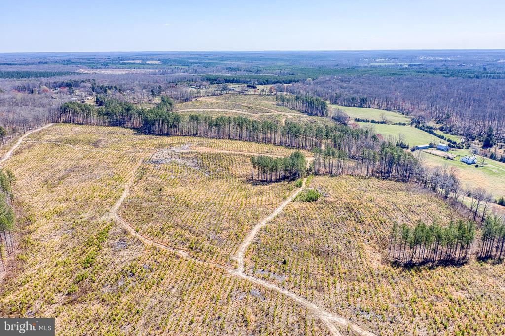 YELLOWBOTTOM RD, LIGNUM, Virginia 22726, ,Farm,YELLOWBOTTOM RD,VACU2010188 MLS # VACU2010188