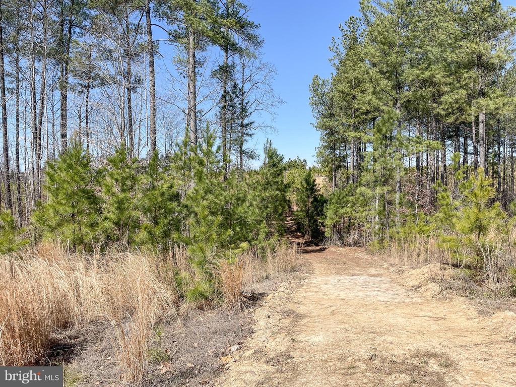 YELLOWBOTTOM RD, LIGNUM, Virginia 22726, ,Farm,YELLOWBOTTOM RD,VACU2010188 MLS # VACU2010188