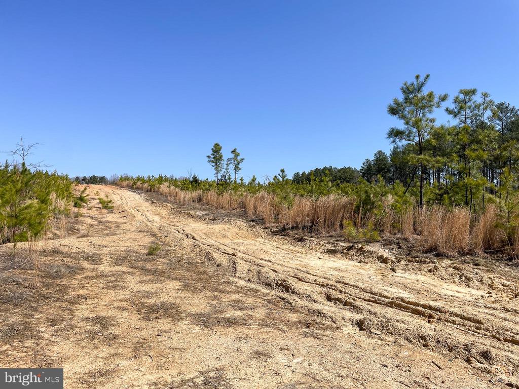 YELLOWBOTTOM RD, LIGNUM, Virginia 22726, ,Farm,YELLOWBOTTOM RD,VACU2010188 MLS # VACU2010188