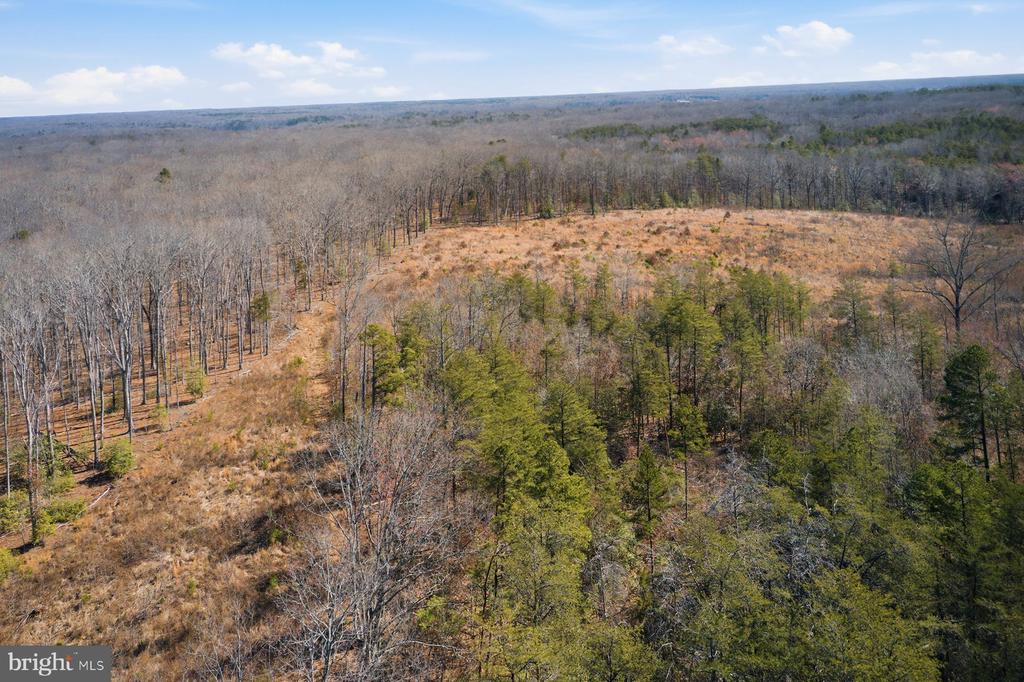 402 OAK GROVE DR, MINERAL, Virginia 23117, ,Land,402 OAK GROVE DR,VALA2009442 MLS # VALA2009442