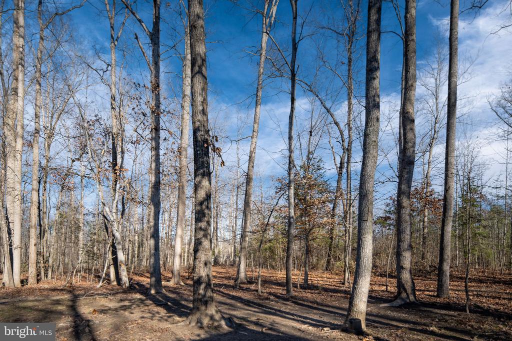 435 HALLS STORE RD, MINERAL, Virginia 23117, 3 Bedrooms Bedrooms, ,2 BathroomsBathrooms,Residential,435 HALLS STORE RD,VALA2009102 MLS # VALA2009102