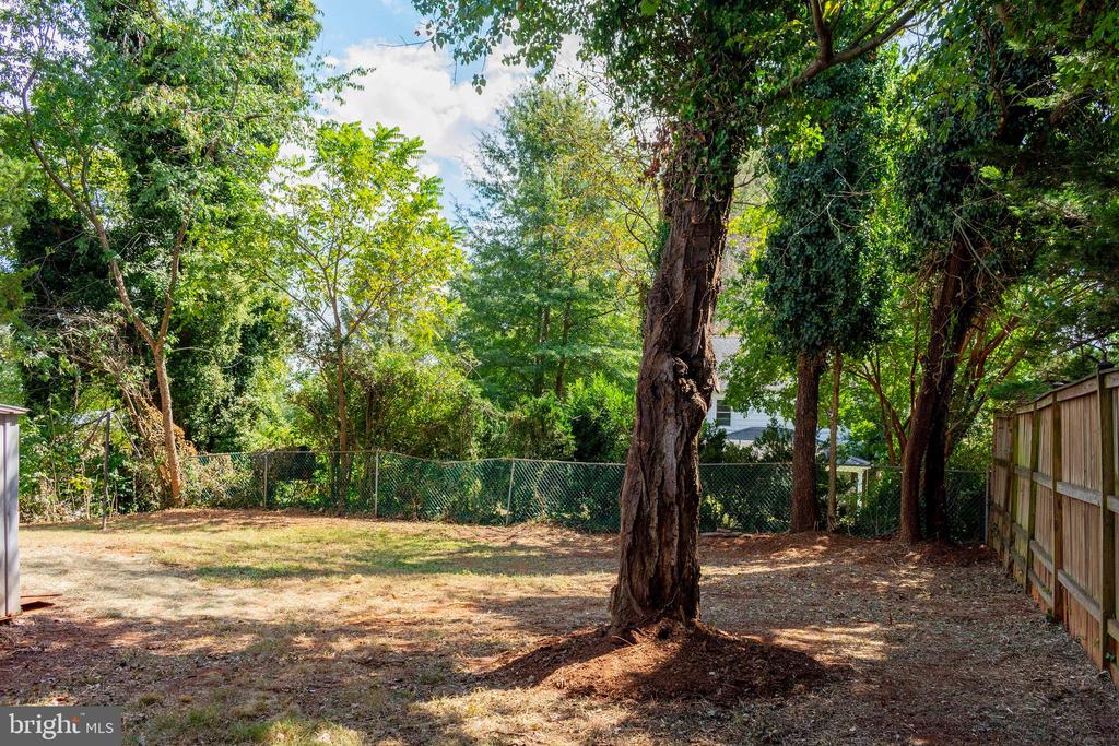 194 MORTON ST, ORANGE, Virginia 22960, 4 Bedrooms Bedrooms, ,1 BathroomBathrooms,Residential,194 MORTON ST,VAOR2013528 MLS # VAOR2013528 194 MORTON ST, ORANGE, Virginia 22960, 4 Bedrooms Bedrooms, ,1 BathroomBathrooms,Residential,194 MORTON ST,VAOR2013528 MLS # VAOR2013528