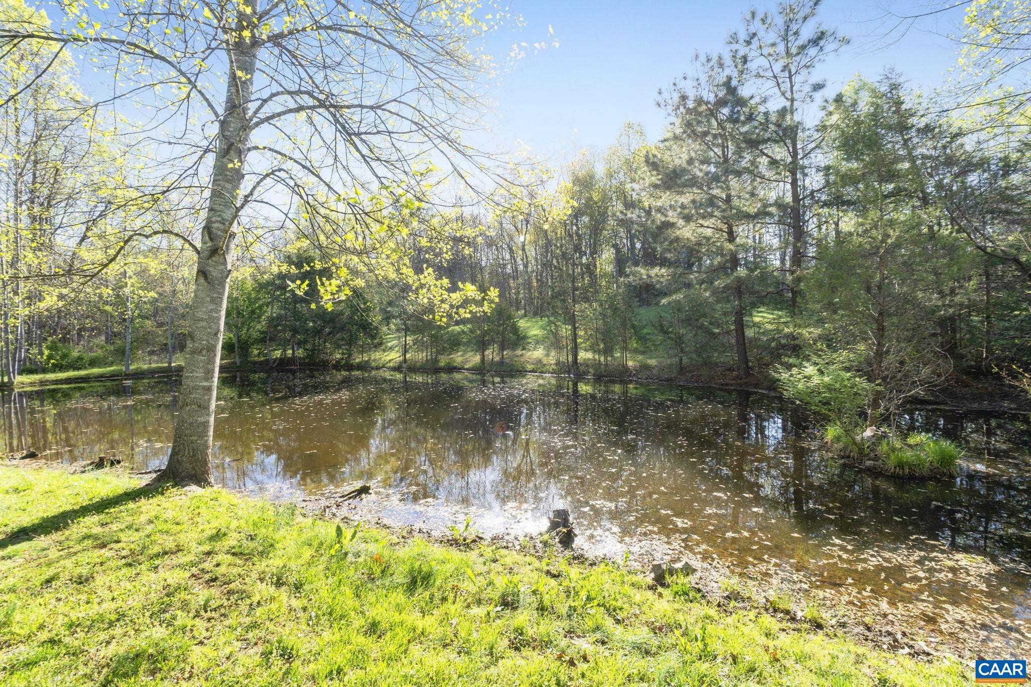 4053 FREE UNION RD, CHARLOTTESVILLE, Virginia 22901, 4 Bedrooms Bedrooms, ,3 BathroomsBathrooms,Residential,4053 FREE UNION RD,674260 MLS # 674260 4053 FREE UNION RD, CHARLOTTESVILLE, Virginia 22901, 4 Bedrooms Bedrooms, ,3 BathroomsBathrooms,Residential,4053 FREE UNION RD,674260 MLS # 674260