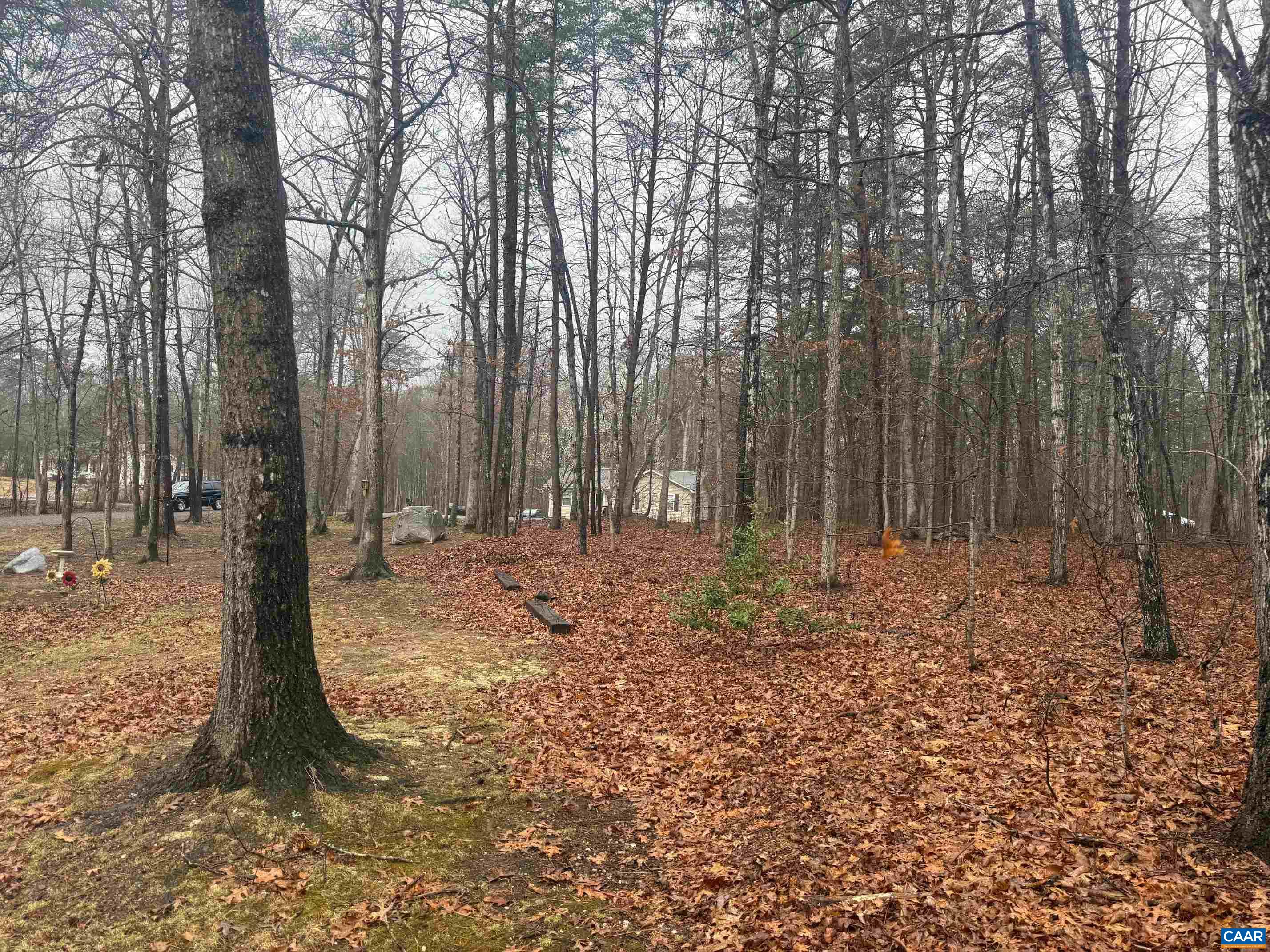 547 FOREST HILL RD, GORDONSVILLE, Virginia 22942, 3 Bedrooms Bedrooms, ,2 BathroomsBathrooms,Residential,547 FOREST HILL RD,674281 MLS # 674281