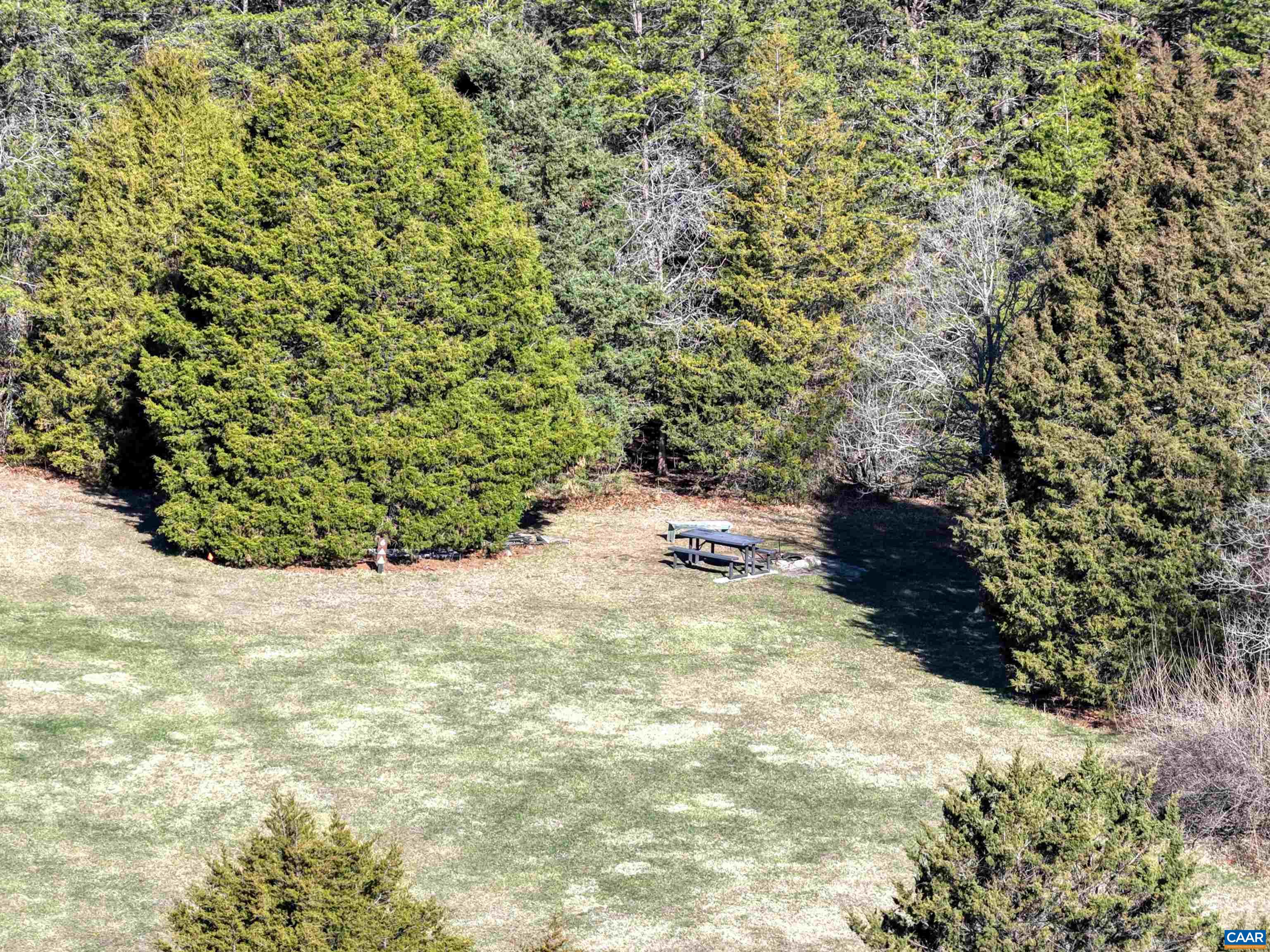 443 MEADOW VIEW LN, FORT VALLEY, Virginia 22652, 126 Bedrooms Bedrooms, ,11 BathroomsBathrooms,Residential,Camp Shenandoah Meadows,443 MEADOW VIEW LN,674290 MLS # 674290