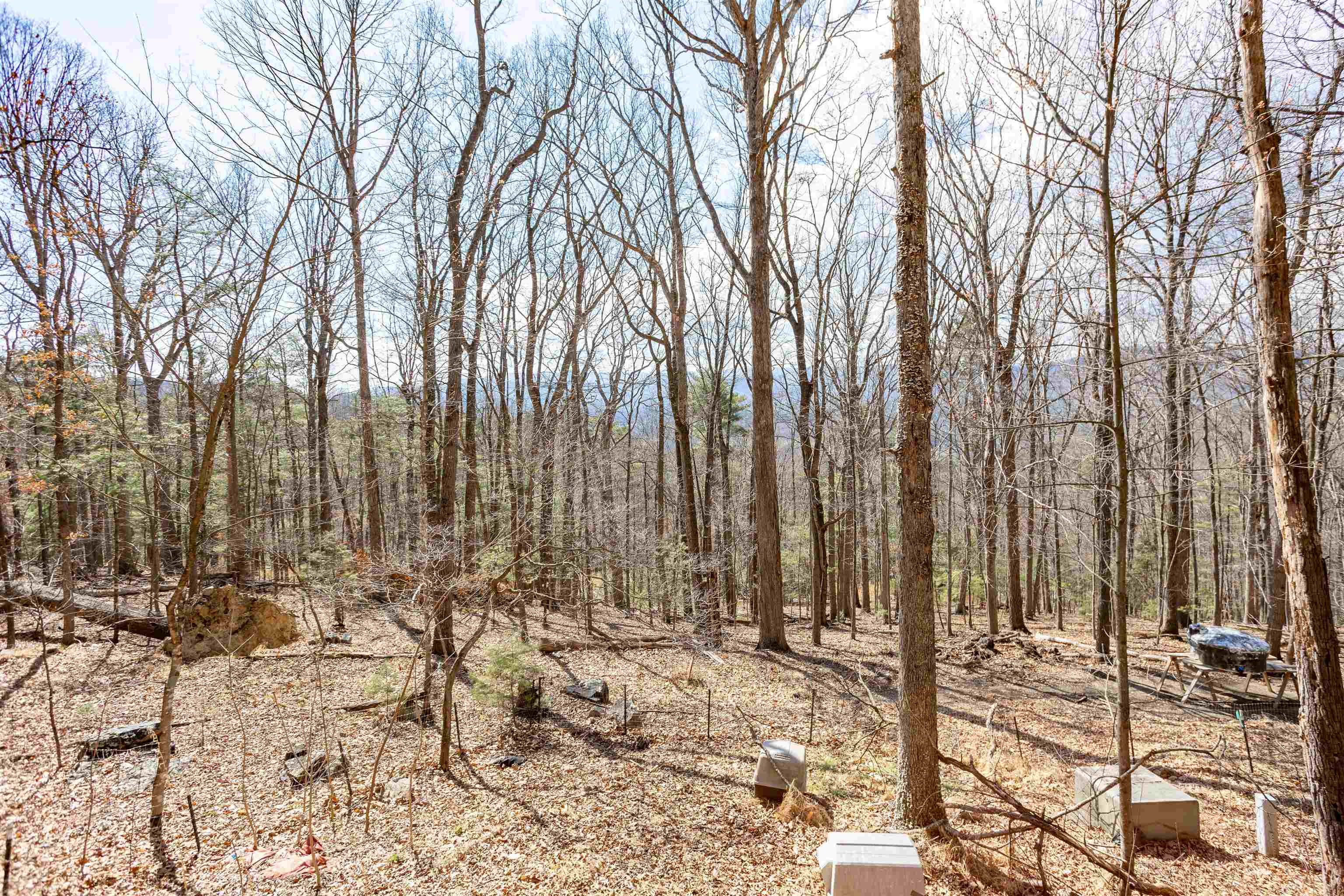 12619 CARDINAL FOREST DR, FULKS RUN, Virginia 22830, 2 Bedrooms Bedrooms, ,1 BathroomBathrooms,Residential,12619 CARDINAL FOREST DR,674297 MLS # 674297