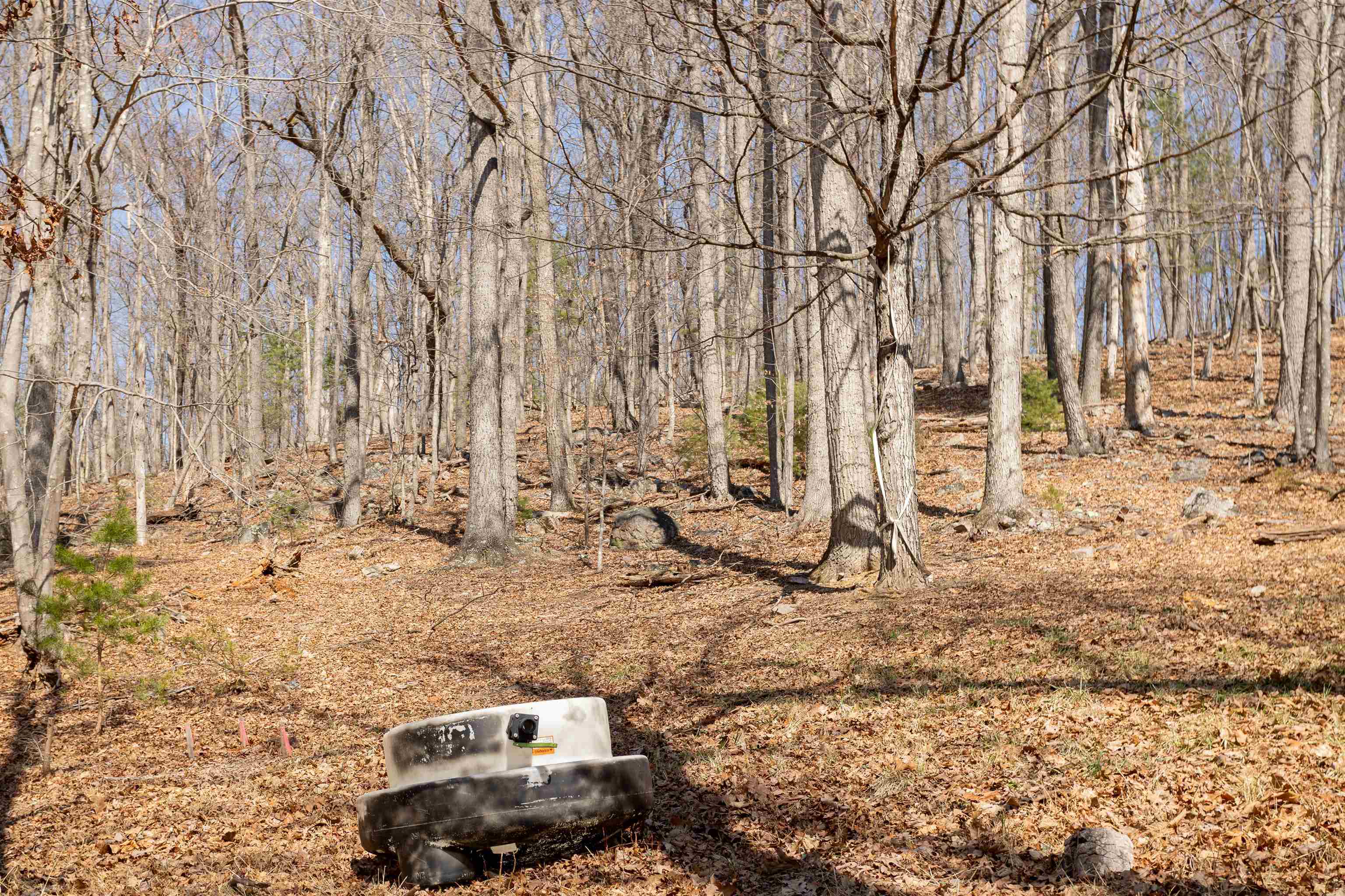 12619 CARDINAL FOREST DR, FULKS RUN, Virginia 22830, 2 Bedrooms Bedrooms, ,1 BathroomBathrooms,Residential,12619 CARDINAL FOREST DR,674297 MLS # 674297