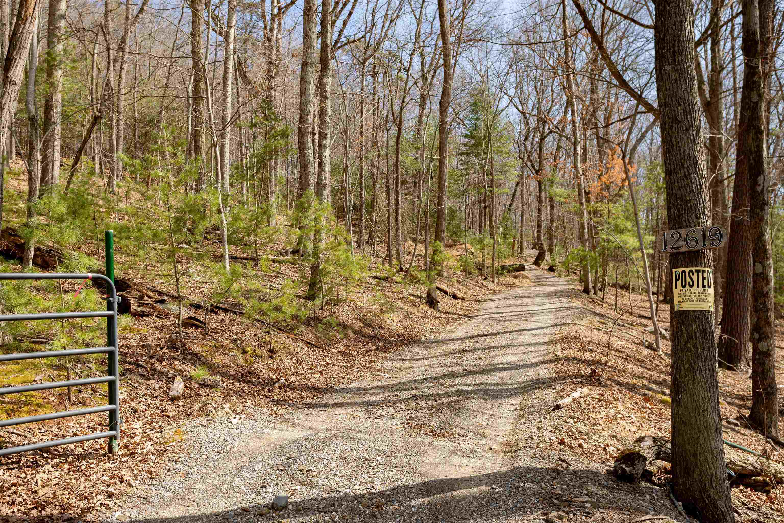 12619 CARDINAL FOREST DR, FULKS RUN, Virginia 22830, 2 Bedrooms Bedrooms, ,1 BathroomBathrooms,Residential,12619 CARDINAL FOREST DR,674297 MLS # 674297