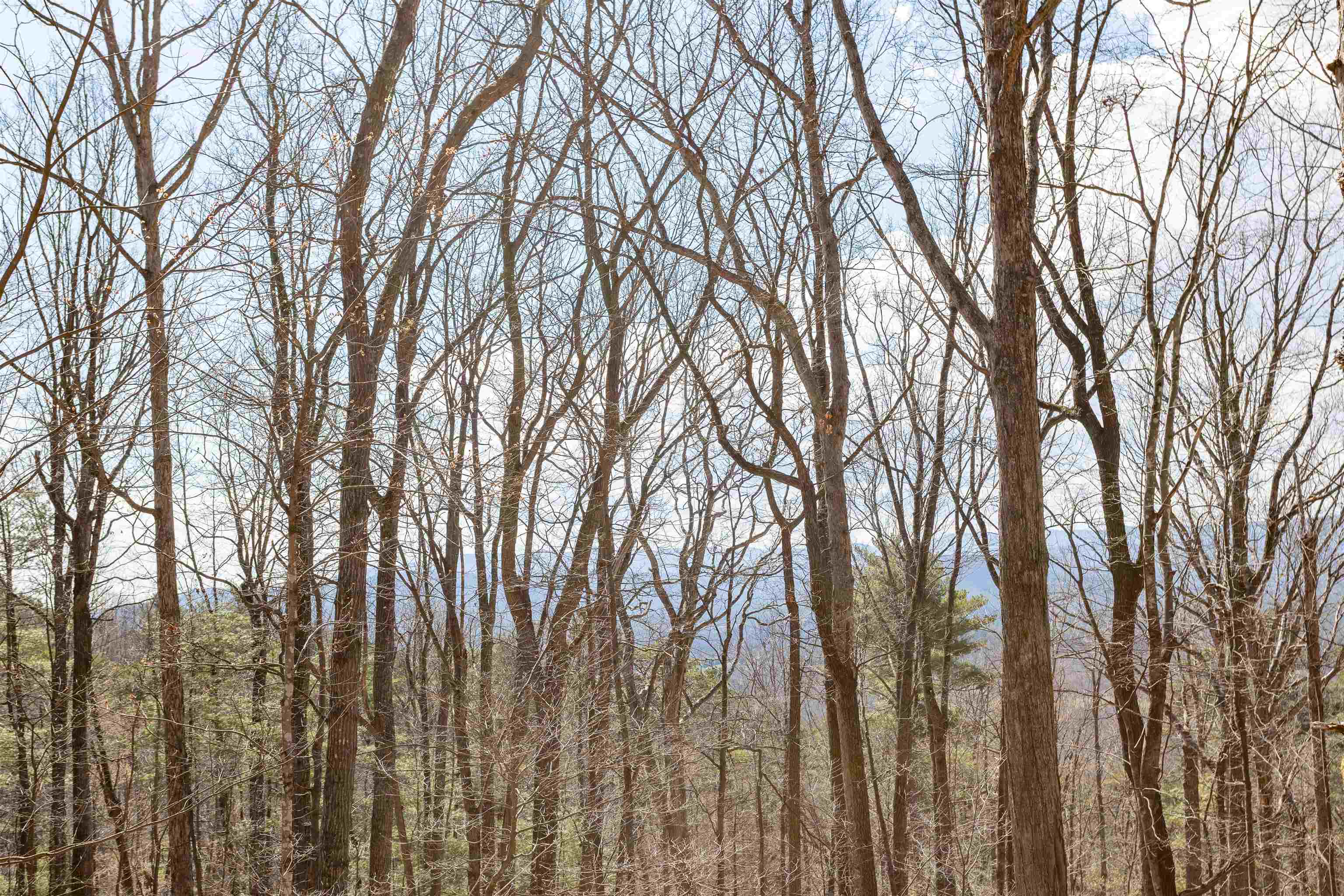 12619 CARDINAL FOREST DR, FULKS RUN, Virginia 22830, 2 Bedrooms Bedrooms, ,1 BathroomBathrooms,Residential,12619 CARDINAL FOREST DR,674297 MLS # 674297