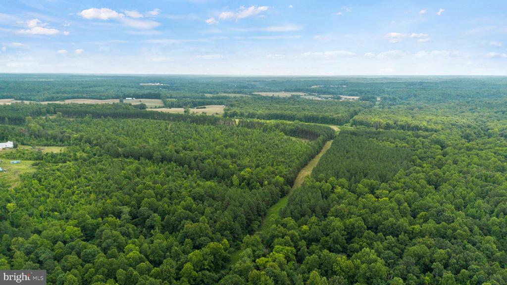 362 DELL PERKINS RD, LOUISA, Virginia 23093, 5 Bedrooms Bedrooms, ,3 BathroomsBathrooms,Residential,362 DELL PERKINS RD,VALA2009324 MLS # VALA2009324