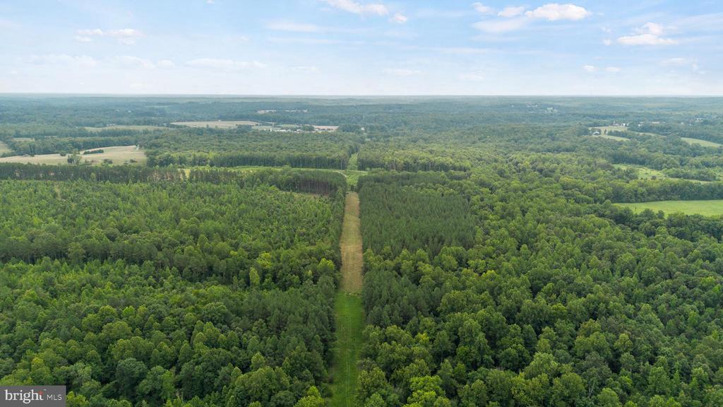 362 DELL PERKINS RD, LOUISA, Virginia 23093, 5 Bedrooms Bedrooms, ,3 BathroomsBathrooms,Residential,362 DELL PERKINS RD,VALA2009324 MLS # VALA2009324