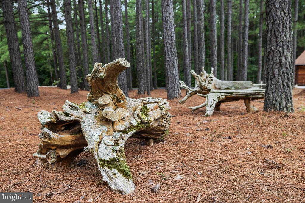 362 DELL PERKINS RD, LOUISA, Virginia 23093, 5 Bedrooms Bedrooms, ,3 BathroomsBathrooms,Residential,362 DELL PERKINS RD,VALA2009324 MLS # VALA2009324