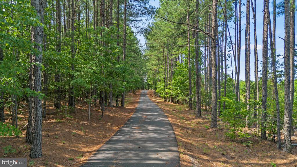 362 DELL PERKINS RD, LOUISA, Virginia 23093, 5 Bedrooms Bedrooms, ,3 BathroomsBathrooms,Residential,362 DELL PERKINS RD,VALA2009324 MLS # VALA2009324