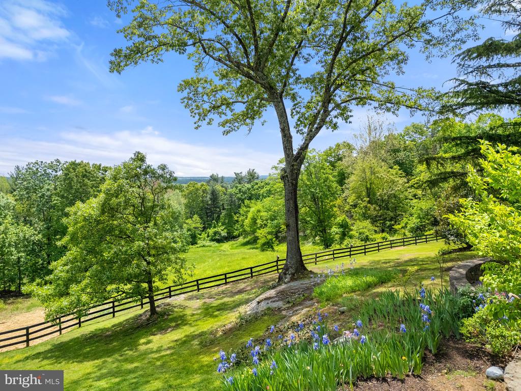 4392 CARRINGTON RD, MARKHAM, Virginia, 4 Bedrooms Bedrooms, ,4 BathroomsBathrooms,Residential,4392 CARRINGTON RD,VAFQ2020754 MLS # VAFQ2020754