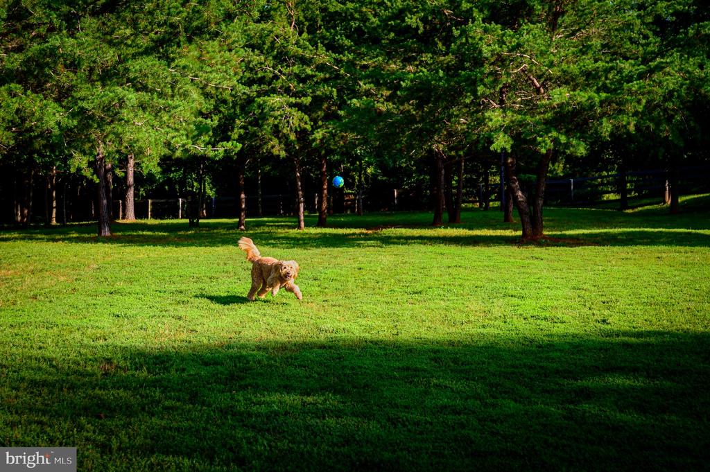 11208 KNOLLS END, SPOTSYLVANIA, Virginia 22551, 6 Bedrooms Bedrooms, ,5 BathroomsBathrooms,Residential,11208 KNOLLS END,VASP2039734 MLS # VASP2039734