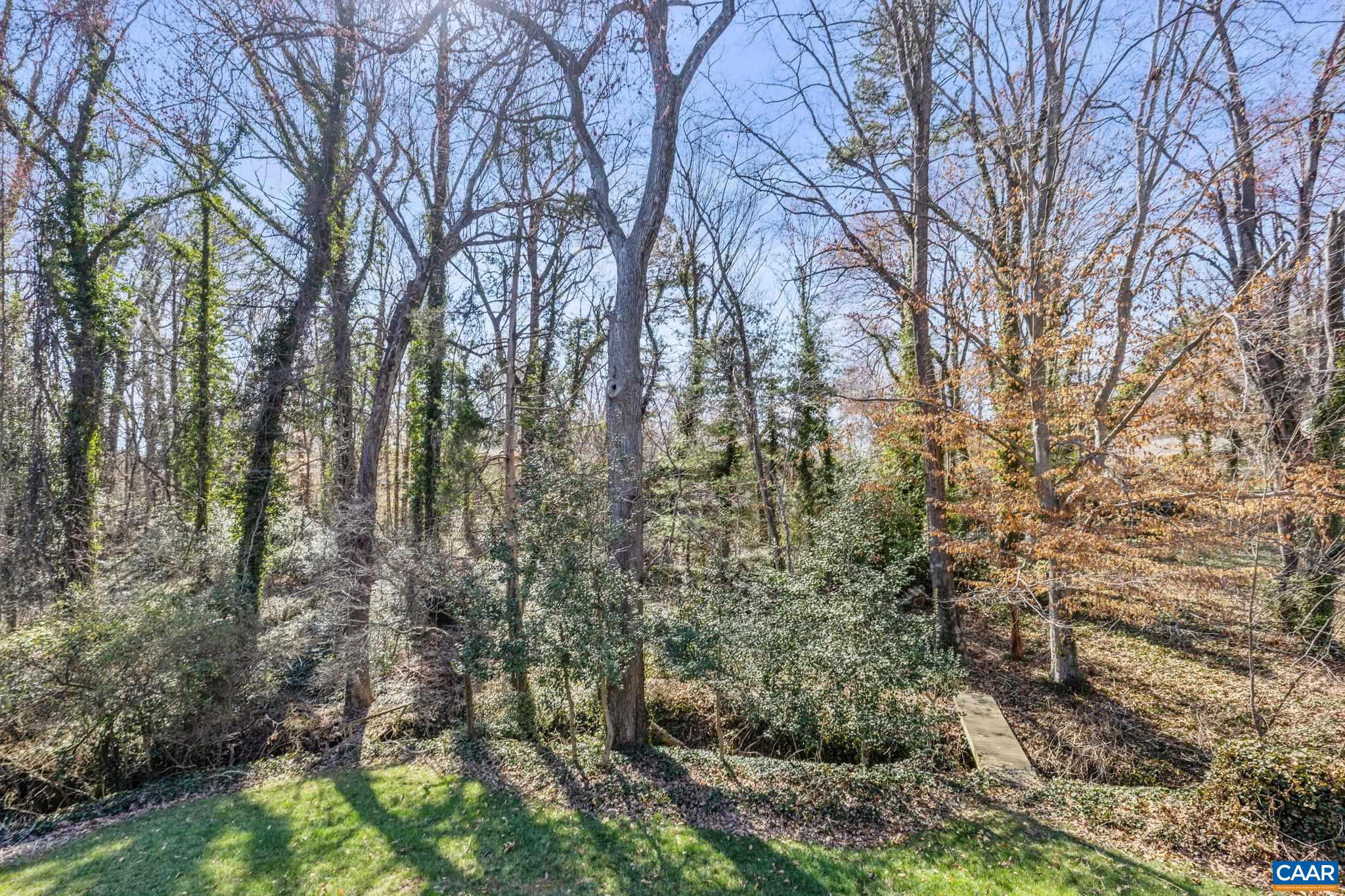 2310 WAYNE AVE, CHARLOTTESVILLE, Virginia 22901, 5 Bedrooms Bedrooms, ,2 BathroomsBathrooms,Residential,2310 WAYNE AVE,674256 MLS # 674256