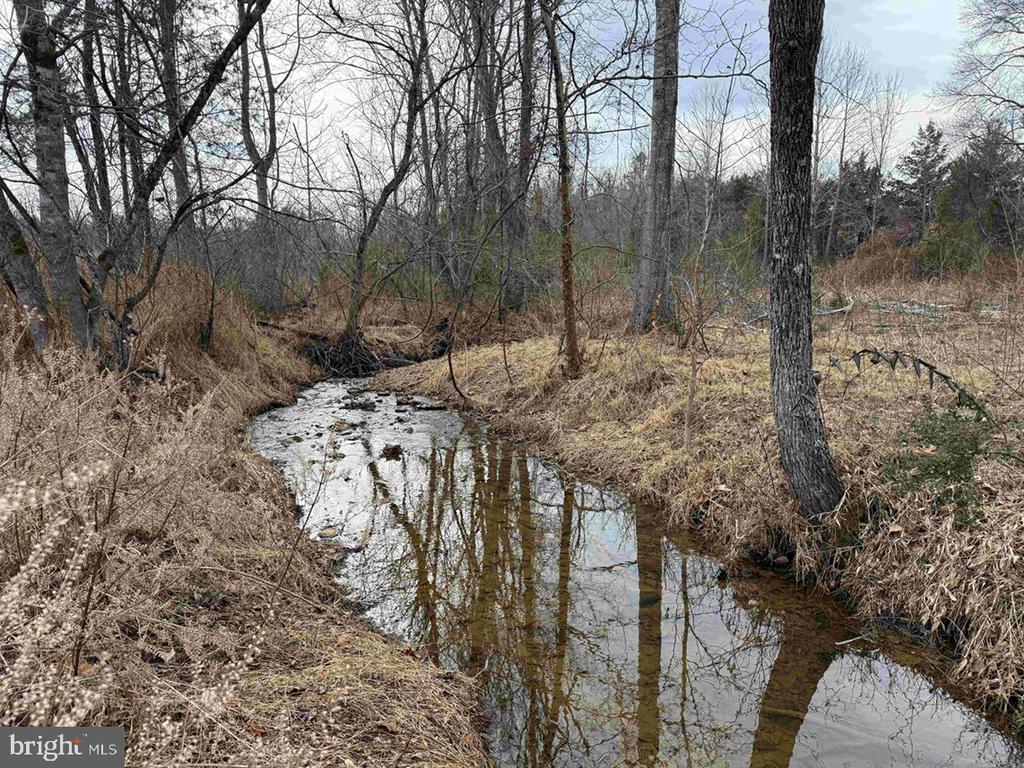 WEST RIVER ROAD (RT. 6) (TRACT: JR C.B. MOON-1), SCOTTSVILLE, Virginia 24590, ,Farm,WEST RIVER ROAD (RT. 6) (TRACT: JR C.B. MOON-1),VAFN2000634 MLS # VAFN2000634