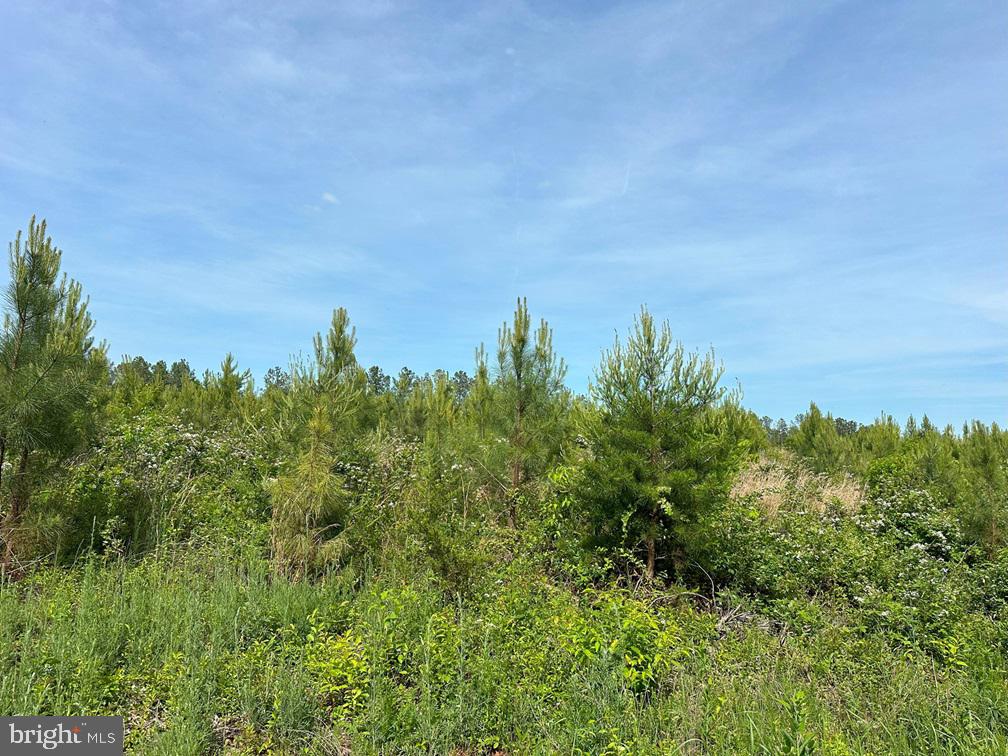 WEST RIVER ROAD (RT. 6) (TRACT: JR C.B. MOON-1), SCOTTSVILLE, Virginia 24590, ,Farm,WEST RIVER ROAD (RT. 6) (TRACT: JR C.B. MOON-1),VAFN2000634 MLS # VAFN2000634