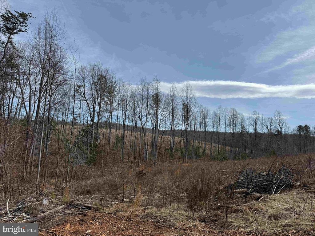 WEST RIVER ROAD (RT. 6) (TRACT: JR C.B. MOON-1), SCOTTSVILLE, Virginia 24590, ,Farm,WEST RIVER ROAD (RT. 6) (TRACT: JR C.B. MOON-1),VAFN2000634 MLS # VAFN2000634