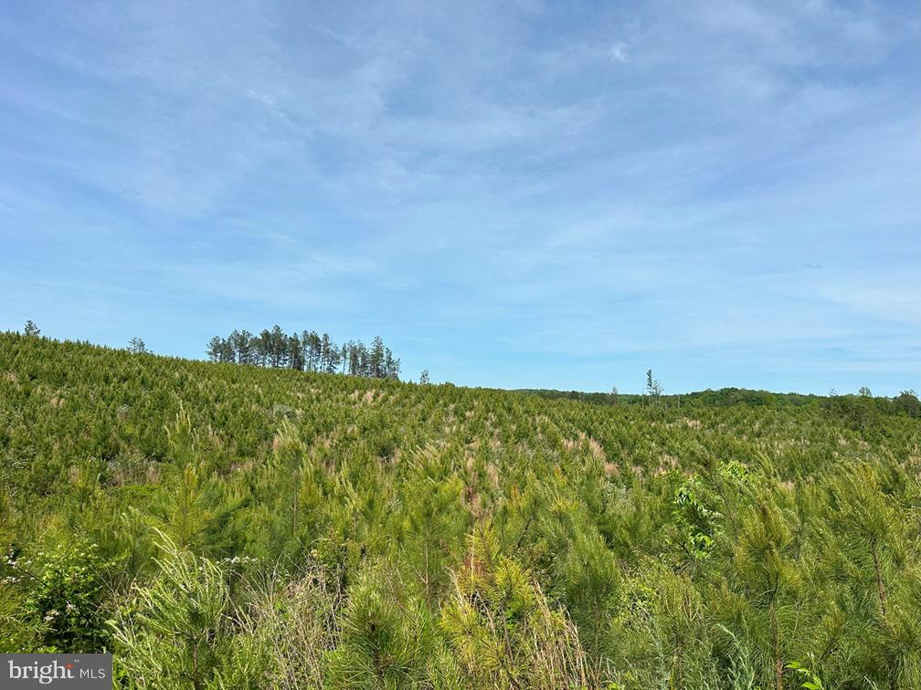 WEST RIVER ROAD (RT. 6) (TRACT: JR C.B. MOON-1), SCOTTSVILLE, Virginia 24590, ,Farm,WEST RIVER ROAD (RT. 6) (TRACT: JR C.B. MOON-1),VAFN2000634 MLS # VAFN2000634