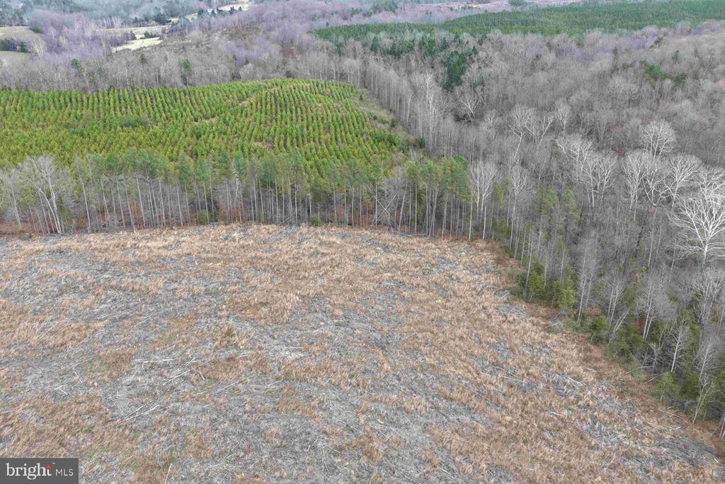 WEST RIVER ROAD (RT. 6) (TRACT: JR C.B. MOON-1), SCOTTSVILLE, Virginia 24590, ,Farm,WEST RIVER ROAD (RT. 6) (TRACT: JR C.B. MOON-1),VAFN2000634 MLS # VAFN2000634