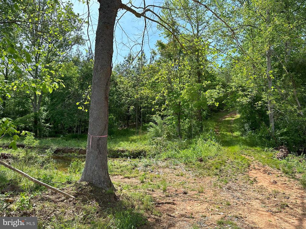 WEST RIVER ROAD (RT. 6) (TRACT: JR C.B. MOON-1), SCOTTSVILLE, Virginia 24590, ,Farm,WEST RIVER ROAD (RT. 6) (TRACT: JR C.B. MOON-1),VAFN2000634 MLS # VAFN2000634