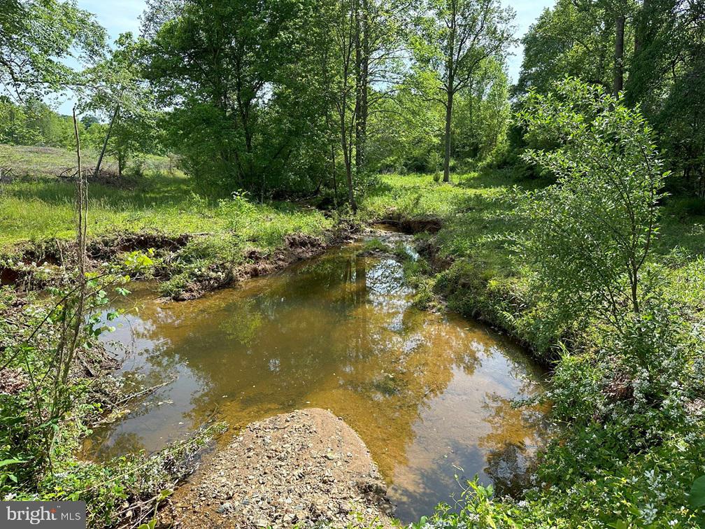 WEST RIVER ROAD (RT. 6) (TRACT: JR C.B. MOON-1), SCOTTSVILLE, Virginia 24590, ,Farm,WEST RIVER ROAD (RT. 6) (TRACT: JR C.B. MOON-1),VAFN2000634 MLS # VAFN2000634