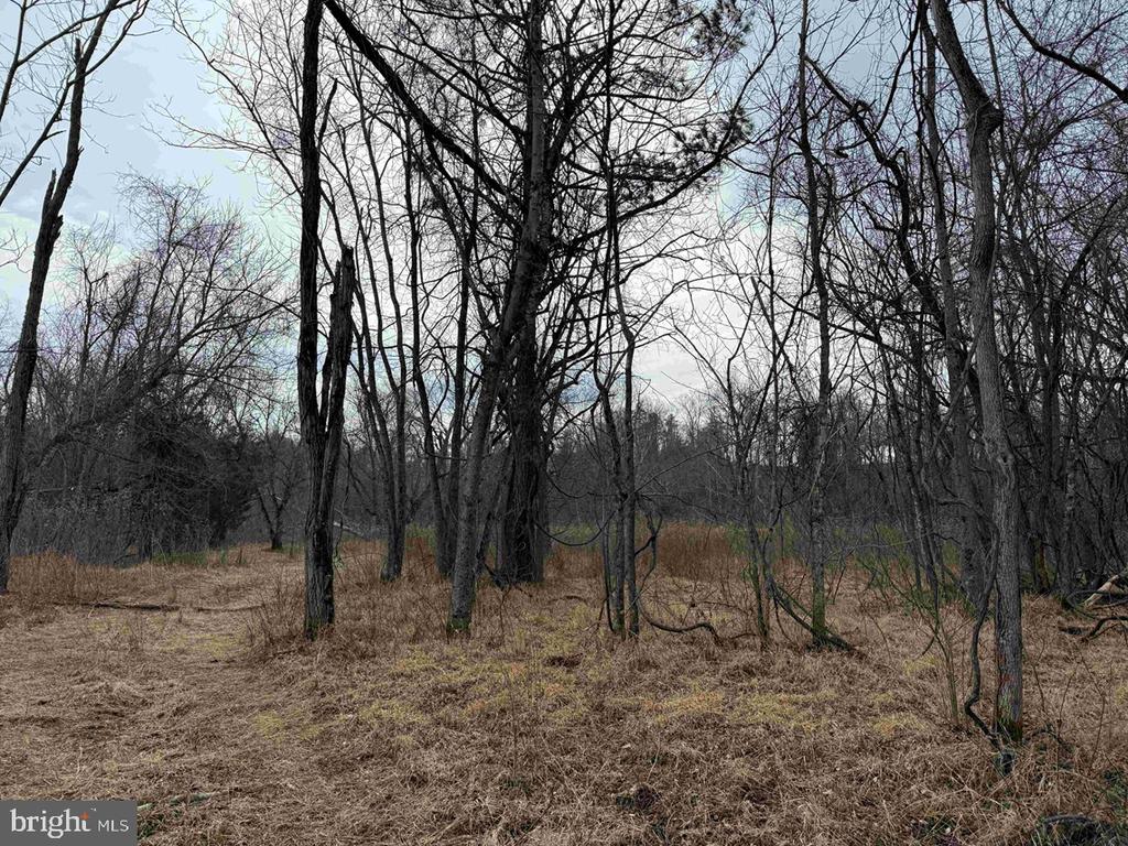 WEST RIVER ROAD (RT. 6) (TRACT: JR C.B. MOON-1), SCOTTSVILLE, Virginia 24590, ,Farm,WEST RIVER ROAD (RT. 6) (TRACT: JR C.B. MOON-1),VAFN2000634 MLS # VAFN2000634