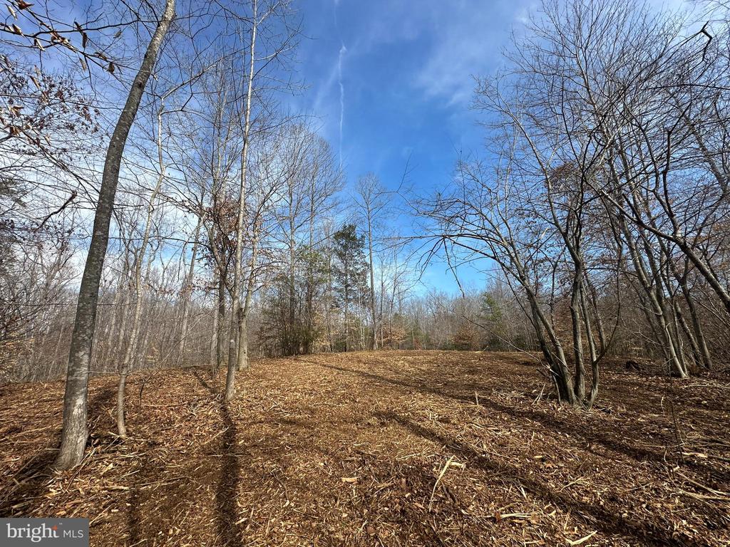 DOVEY RD, SPOTSYLVANIA, Virginia 22553, ,Land,DOVEY RD,VASP2039992 MLS # VASP2039992