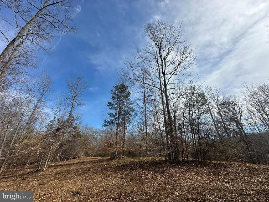 0 DOVEY RD, SPOTSYLVANIA, Virginia 22551, ,Land,0 DOVEY RD,VASP2039998 MLS # VASP2039998