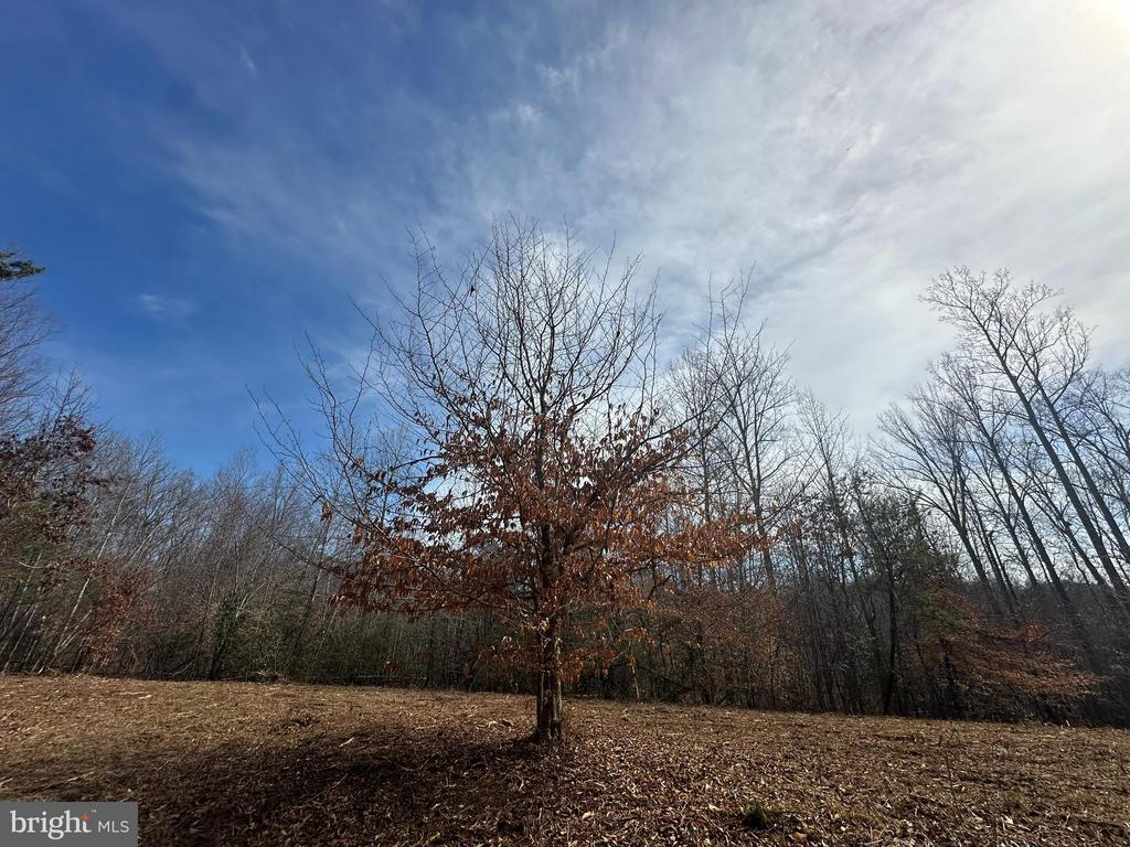 0 DOVEY RD, SPOTSYLVANIA, Virginia 22551, ,Land,0 DOVEY RD,VASP2039998 MLS # VASP2039998