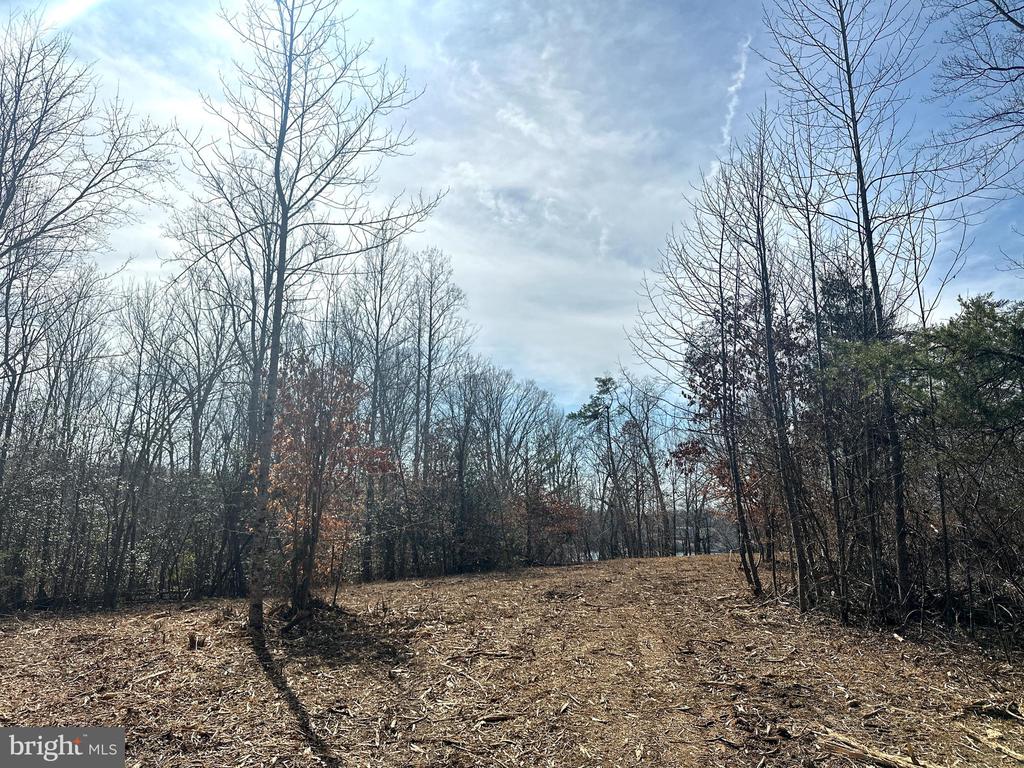 0 DOVEY RD, SPOTSYLVANIA, Virginia 22551, ,Land,0 DOVEY RD,VASP2039998 MLS # VASP2039998