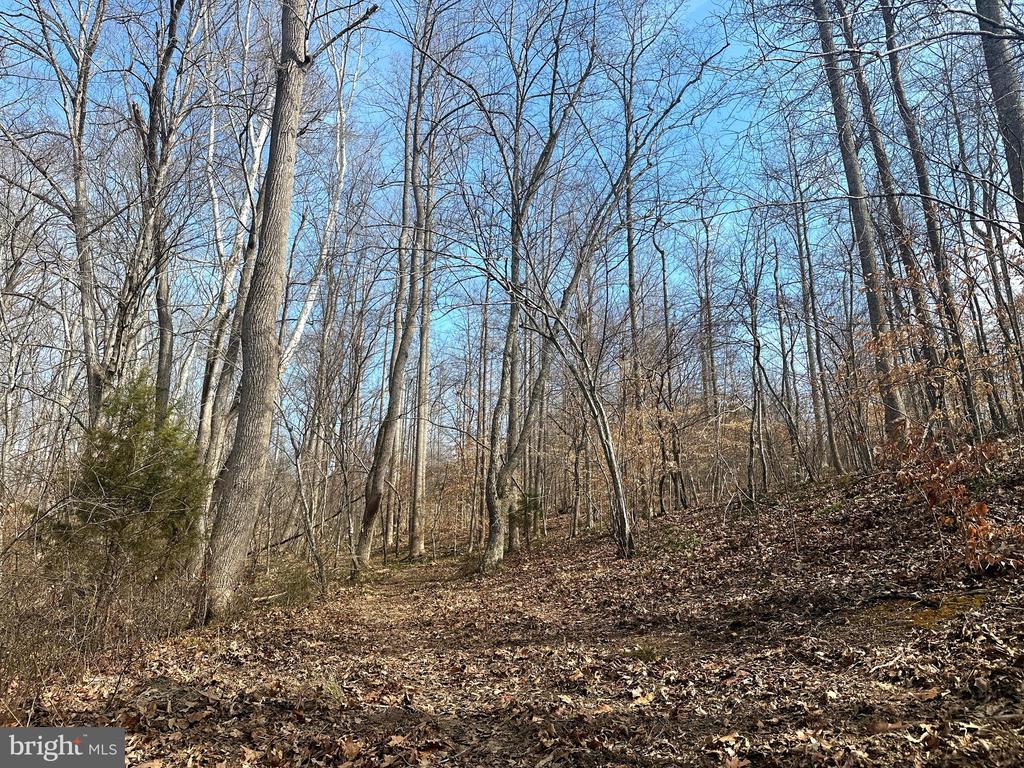 0 DOVEY RD, SPOTSYLVANIA, Virginia 22551, ,Land,0 DOVEY RD,VASP2039998 MLS # VASP2039998