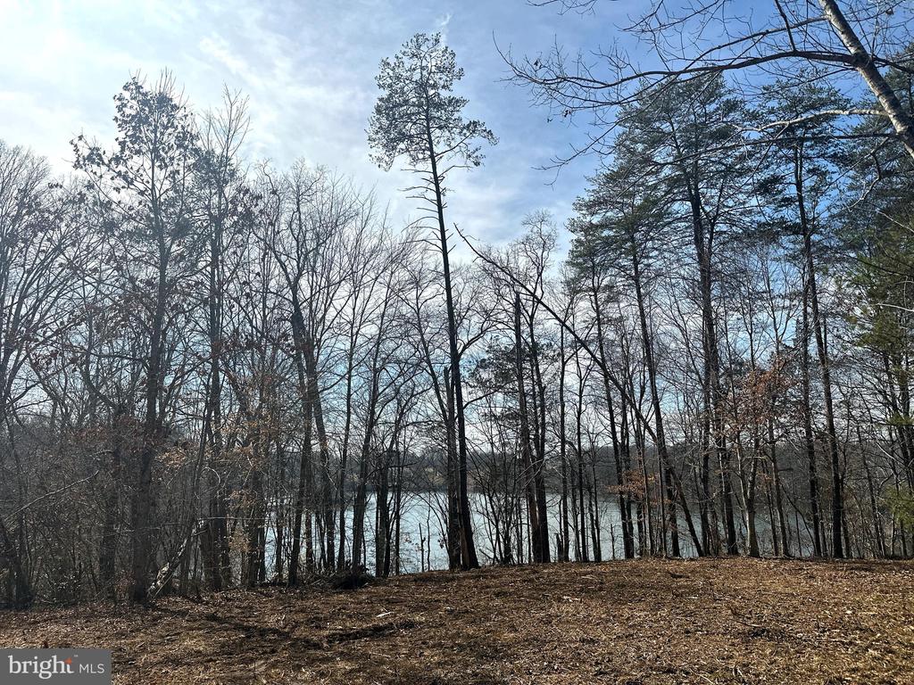 0 DOVEY RD, SPOTSYLVANIA, Virginia 22551, ,Land,0 DOVEY RD,VASP2039998 MLS # VASP2039998