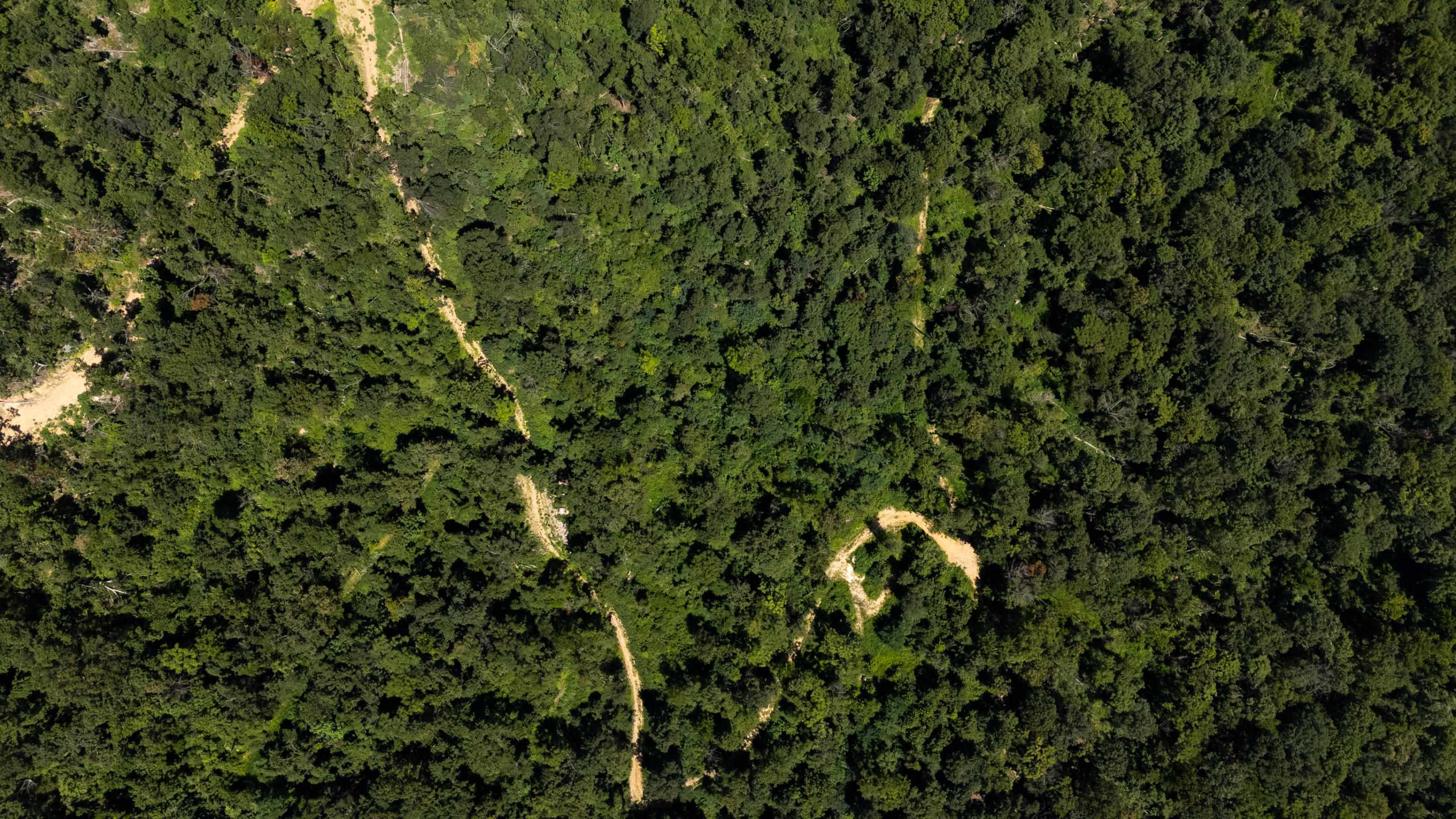 0 MOUNTAIN TOP LN, BROADWAY, Virginia 22815, ,Land,0 MOUNTAIN TOP LN,668038 MLS # 668038