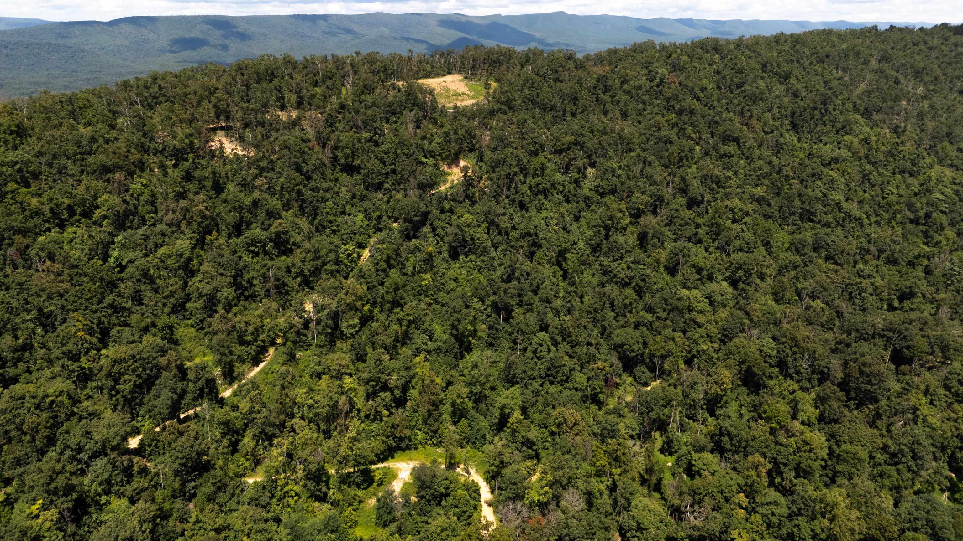 0 MOUNTAIN TOP LN, BROADWAY, Virginia 22815, ,Land,0 MOUNTAIN TOP LN,668038 MLS # 668038