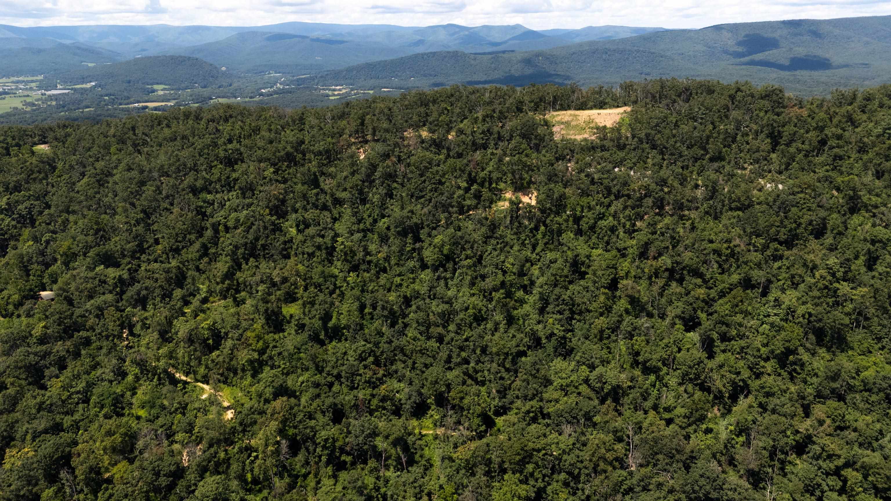 0 MOUNTAIN TOP LN, BROADWAY, Virginia 22815, ,Land,0 MOUNTAIN TOP LN,668038 MLS # 668038