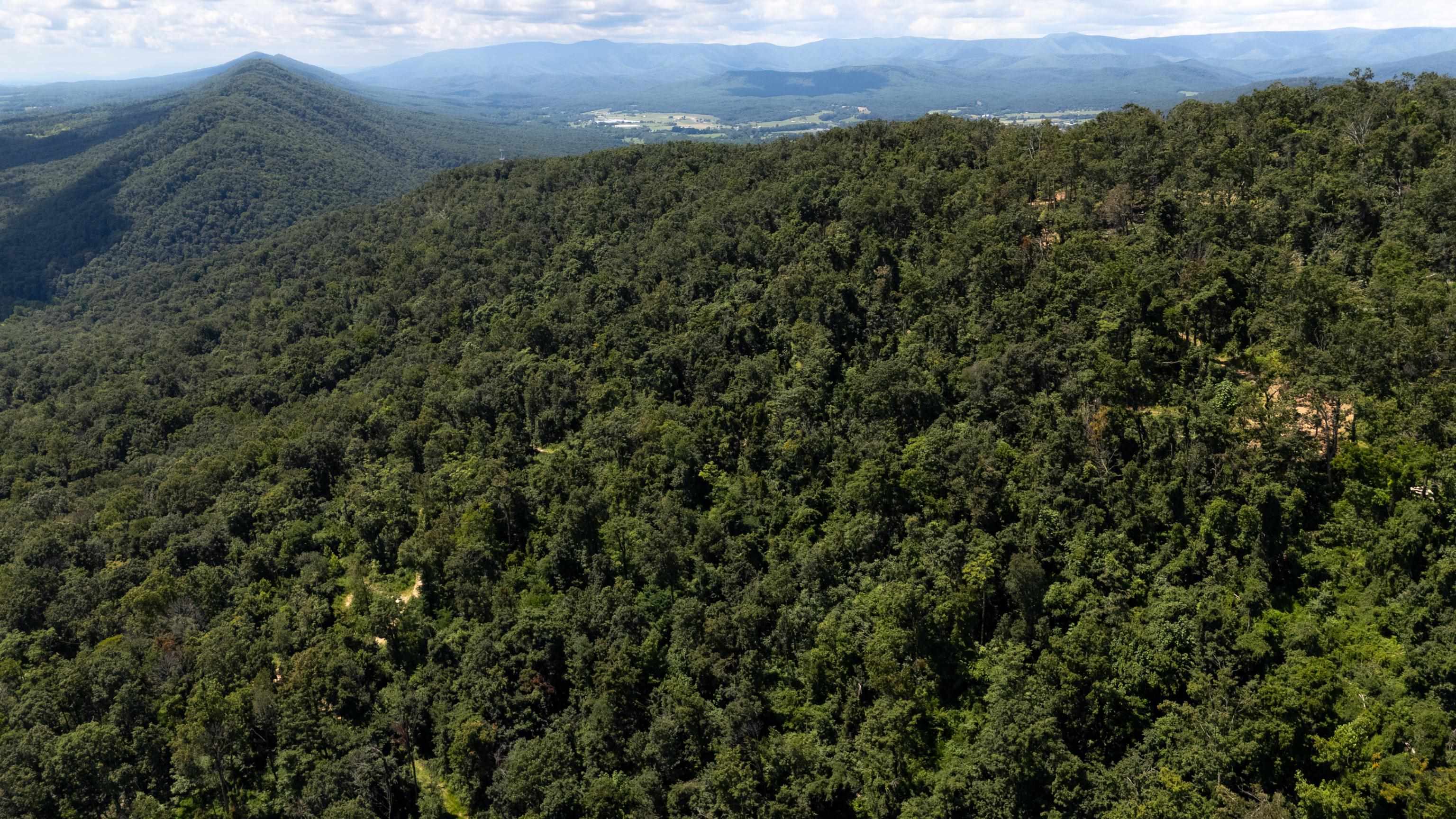 0 MOUNTAIN TOP LN, BROADWAY, Virginia 22815, ,Land,0 MOUNTAIN TOP LN,668038 MLS # 668038