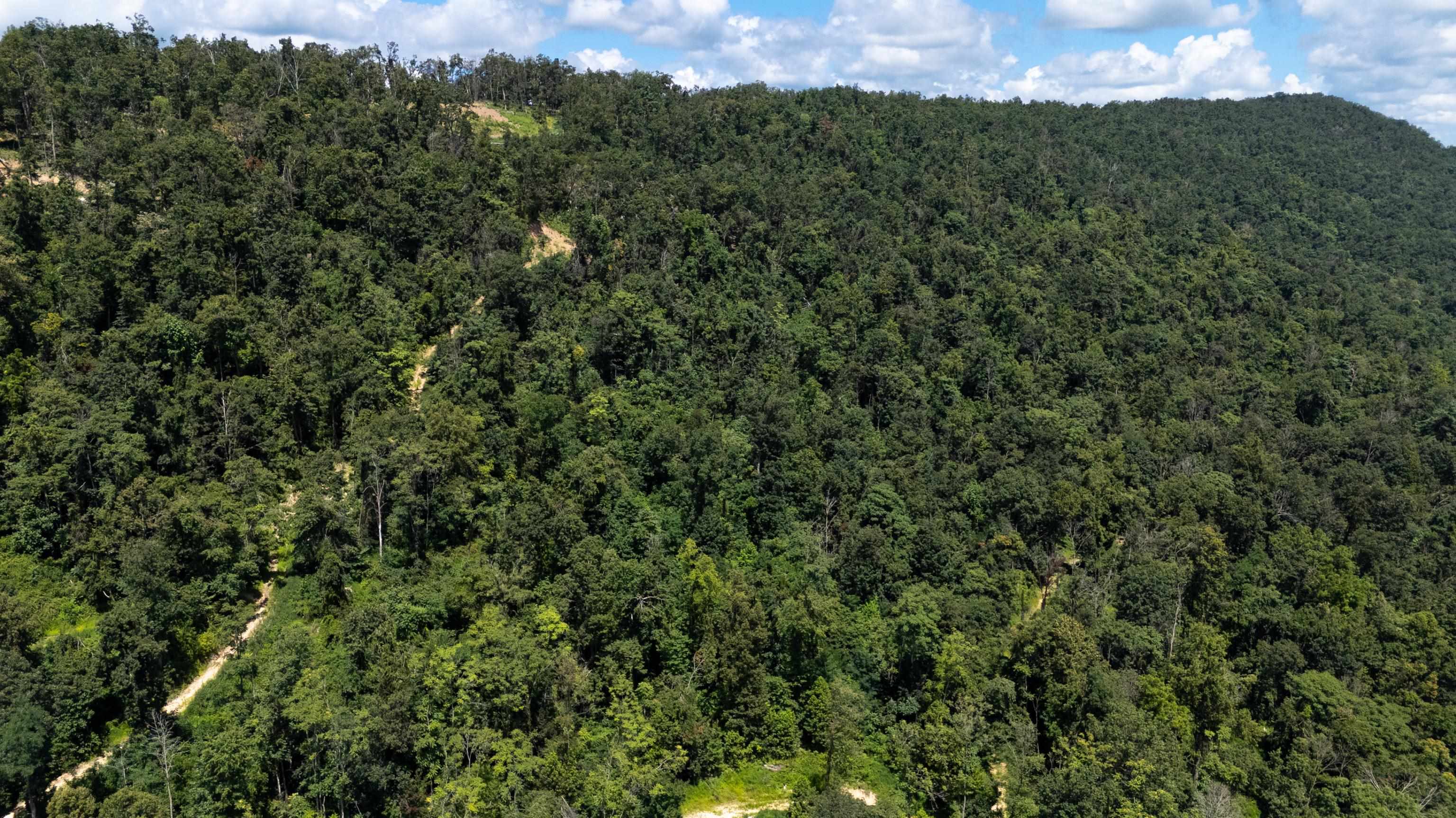 0 MOUNTAIN TOP LN, BROADWAY, Virginia 22815, ,Land,0 MOUNTAIN TOP LN,668038 MLS # 668038