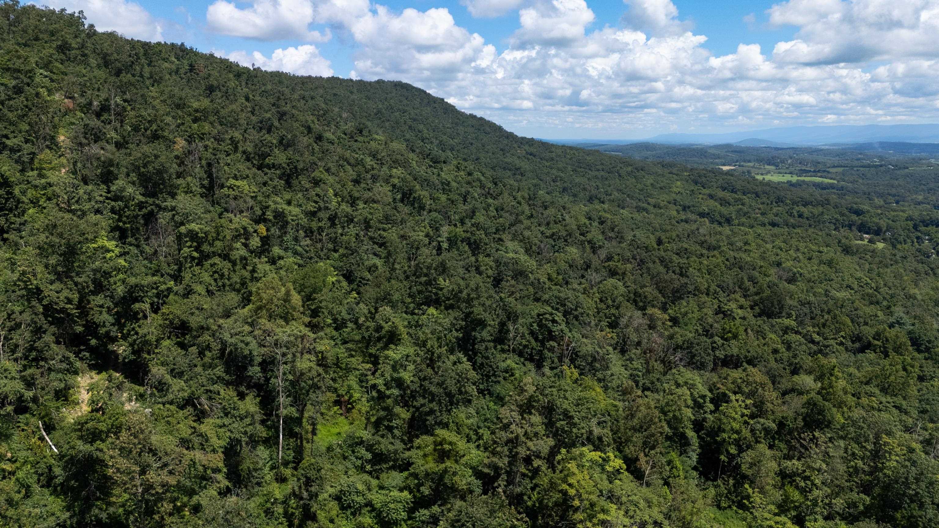 0 MOUNTAIN TOP LN, BROADWAY, Virginia 22815, ,Land,0 MOUNTAIN TOP LN,668038 MLS # 668038