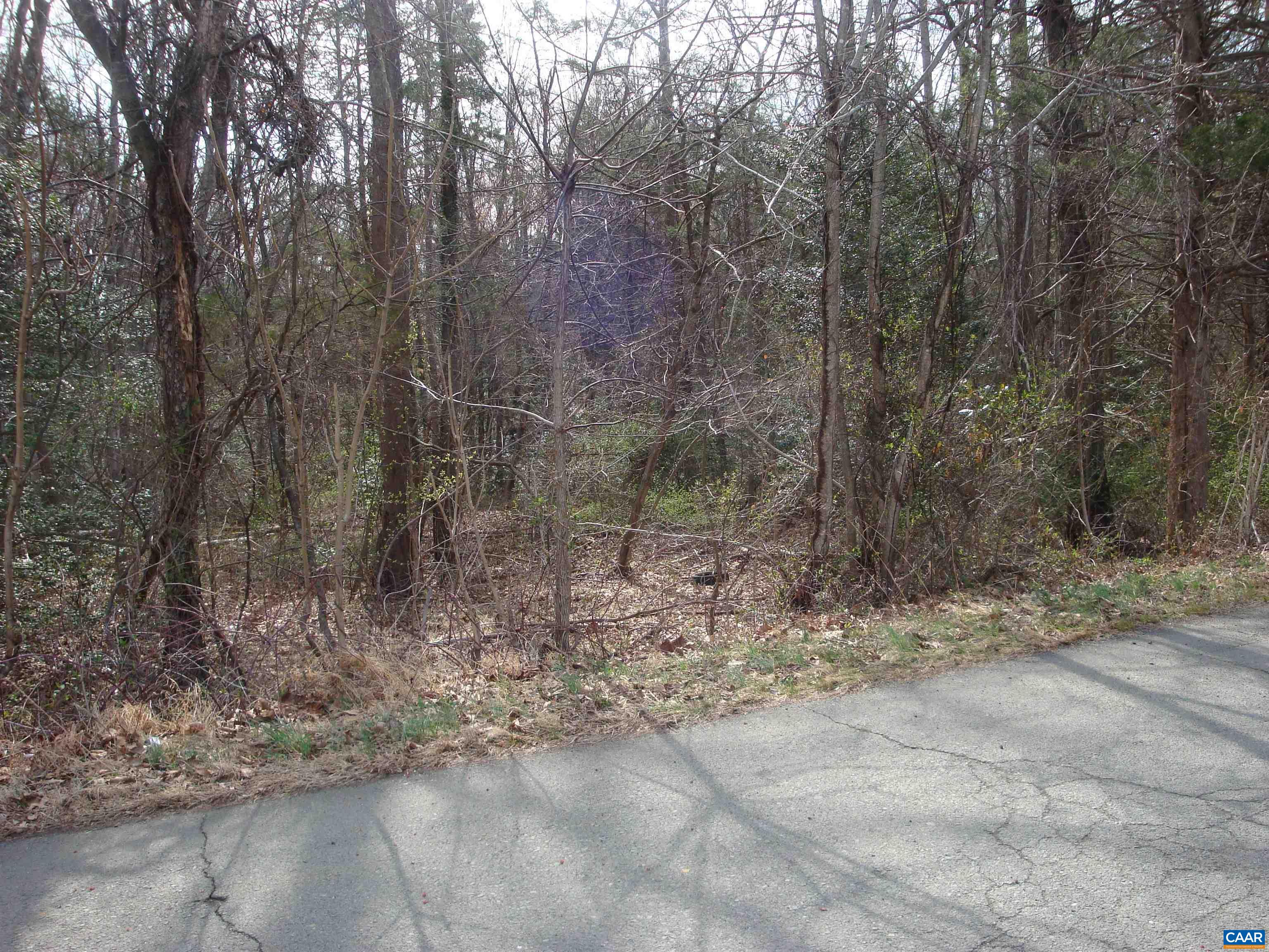 TBD 60 HEATHERTON DR, RUCKERSVILLE, Virginia 22968, ,Land,Lot 60 Enderly Acres,TBD 60 HEATHERTON DR,674315 MLS # 674315