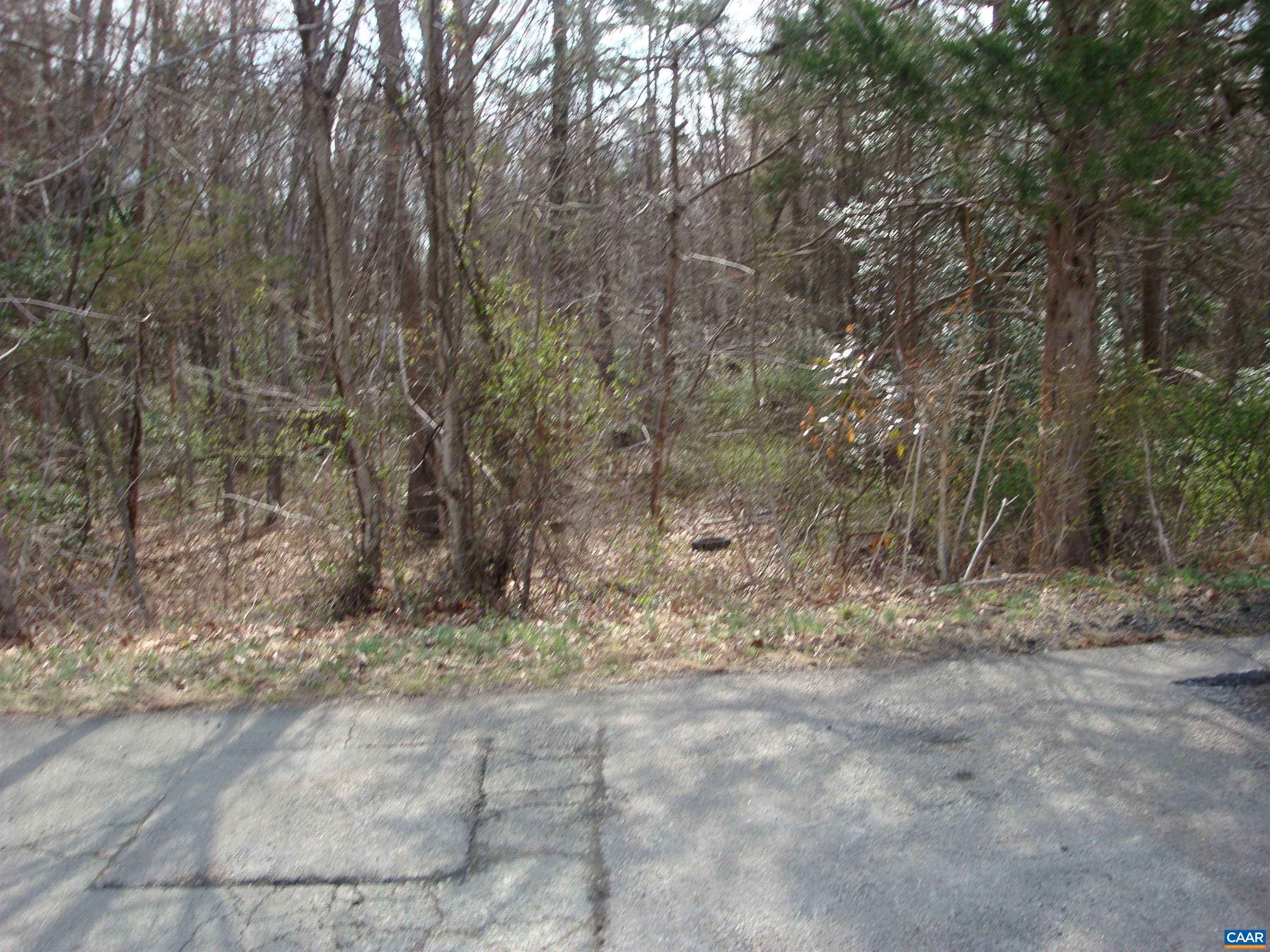 TBD 60 HEATHERTON DR, RUCKERSVILLE, Virginia 22968, ,Land,Lot 60 Enderly Acres,TBD 60 HEATHERTON DR,674315 MLS # 674315