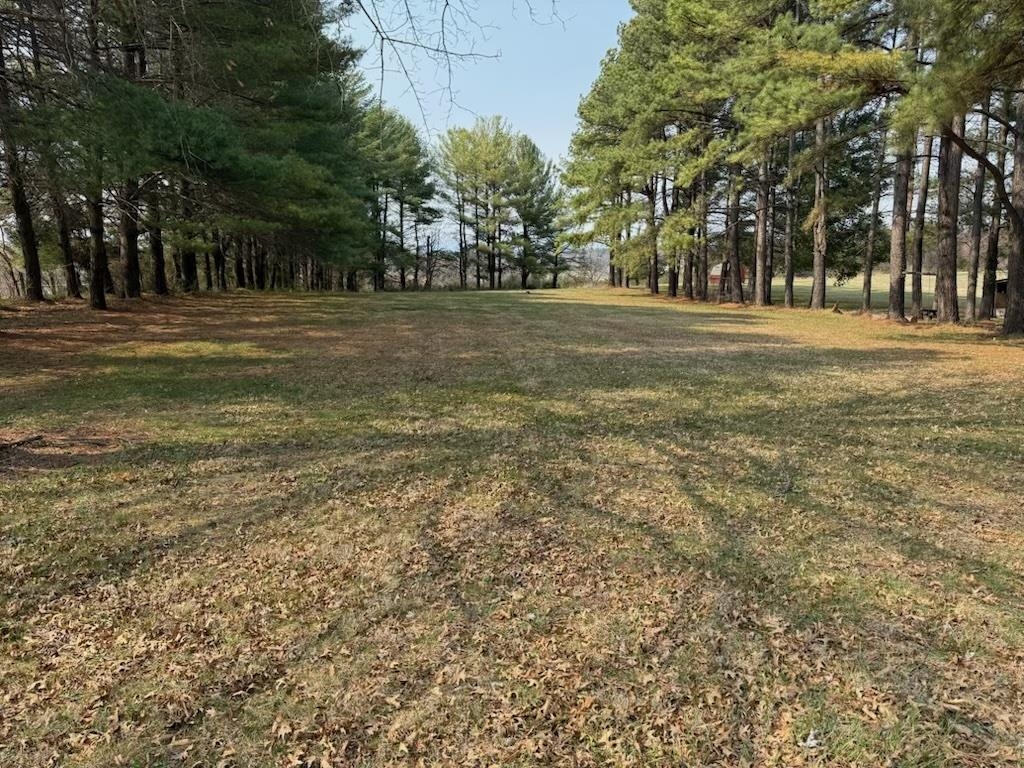 355 NATIONAL AVE, STAUNTON, Virginia 24401, ,Land,355 NATIONAL AVE,674321 MLS # 674321