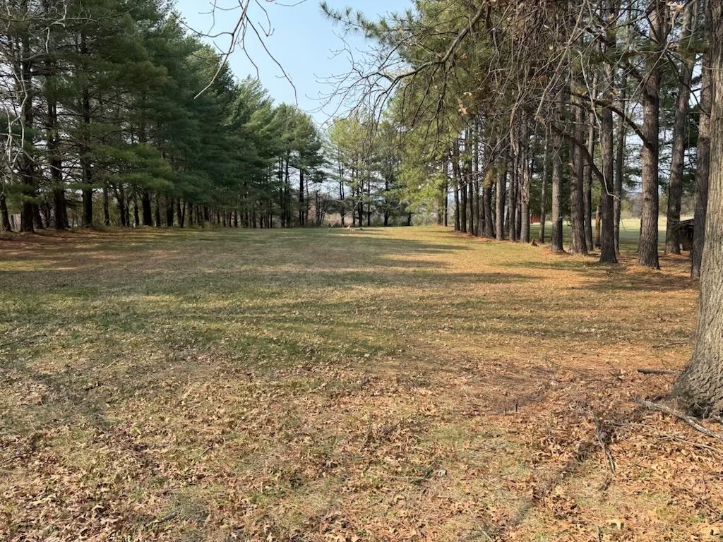 355 NATIONAL AVE, STAUNTON, Virginia 24401, ,Land,355 NATIONAL AVE,674321 MLS # 674321