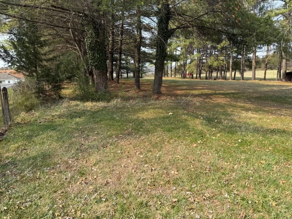 355 NATIONAL AVE, STAUNTON, Virginia 24401, ,Land,355 NATIONAL AVE,674321 MLS # 674321